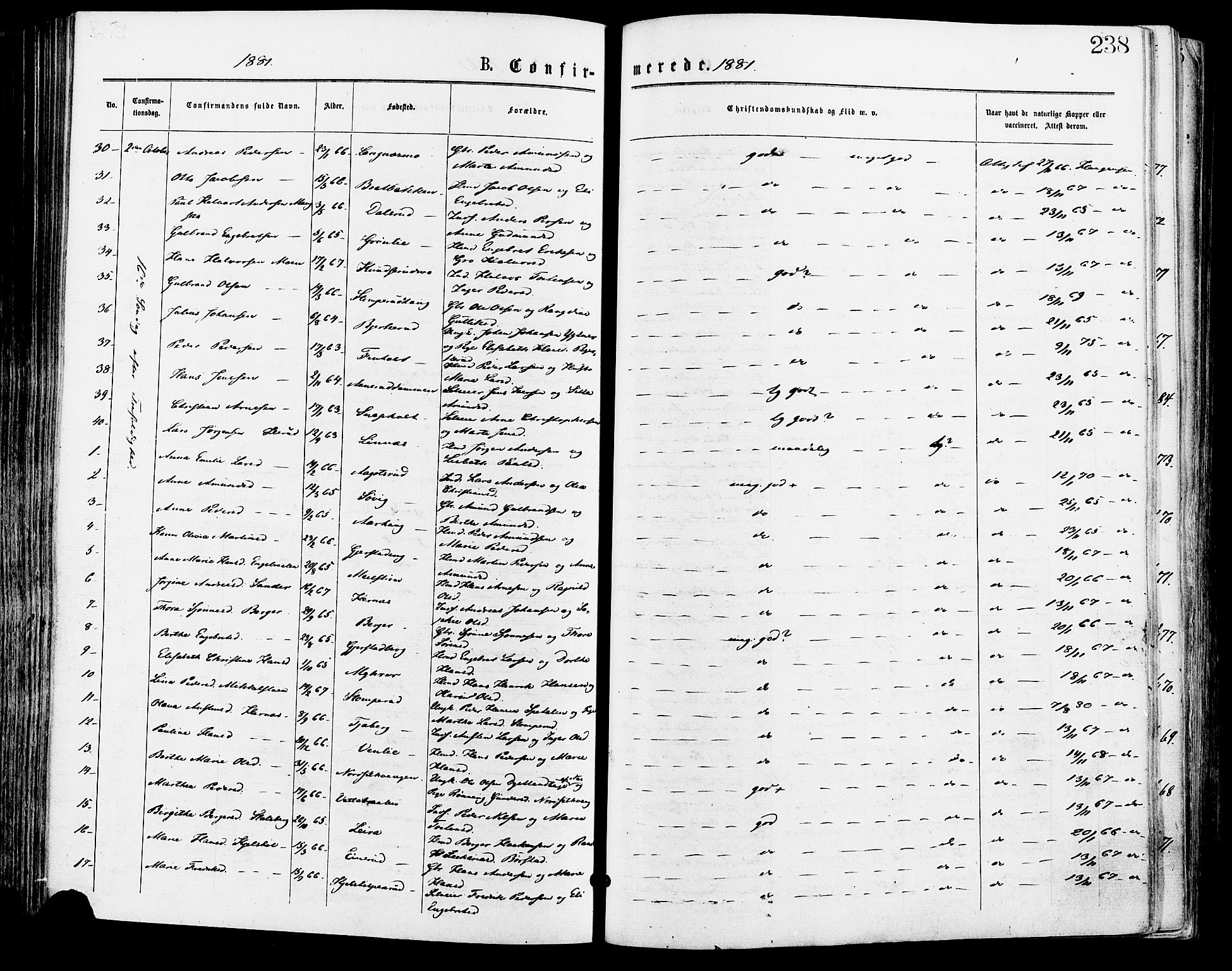 Sør-Odal prestekontor, AV/SAH-PREST-030/H/Ha/Haa/L0005: Parish register (official) no. 5, 1876-1885, p. 238