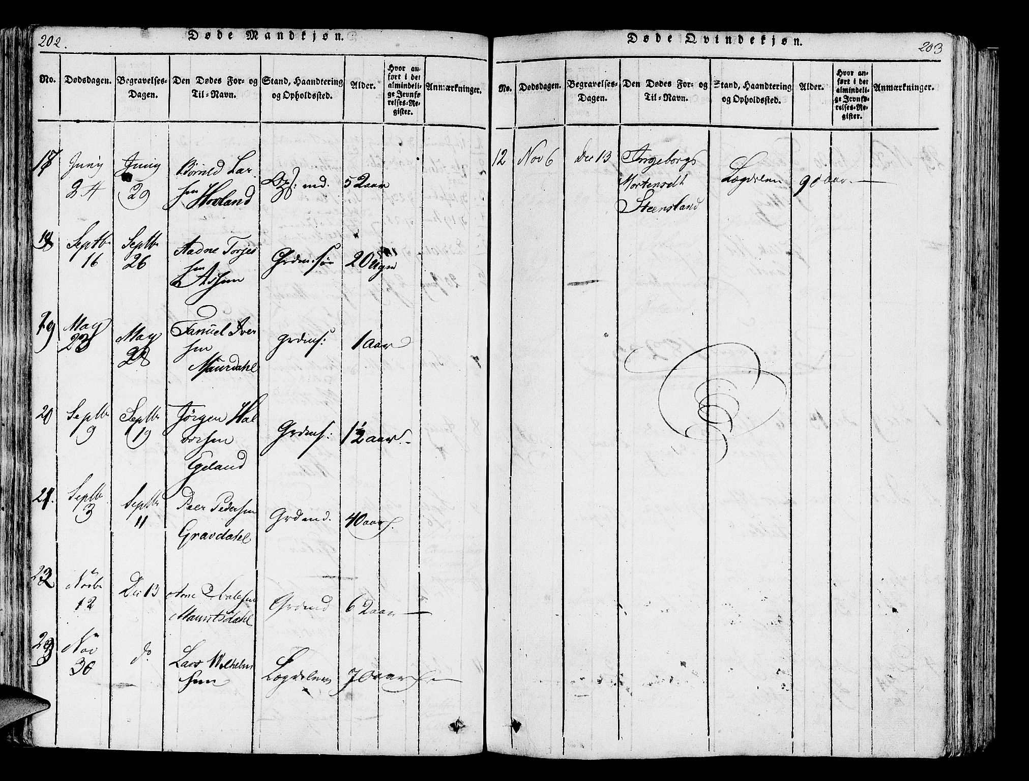 Helleland sokneprestkontor, AV/SAST-A-101810: Parish register (official) no. A 5, 1815-1834, p. 202-203