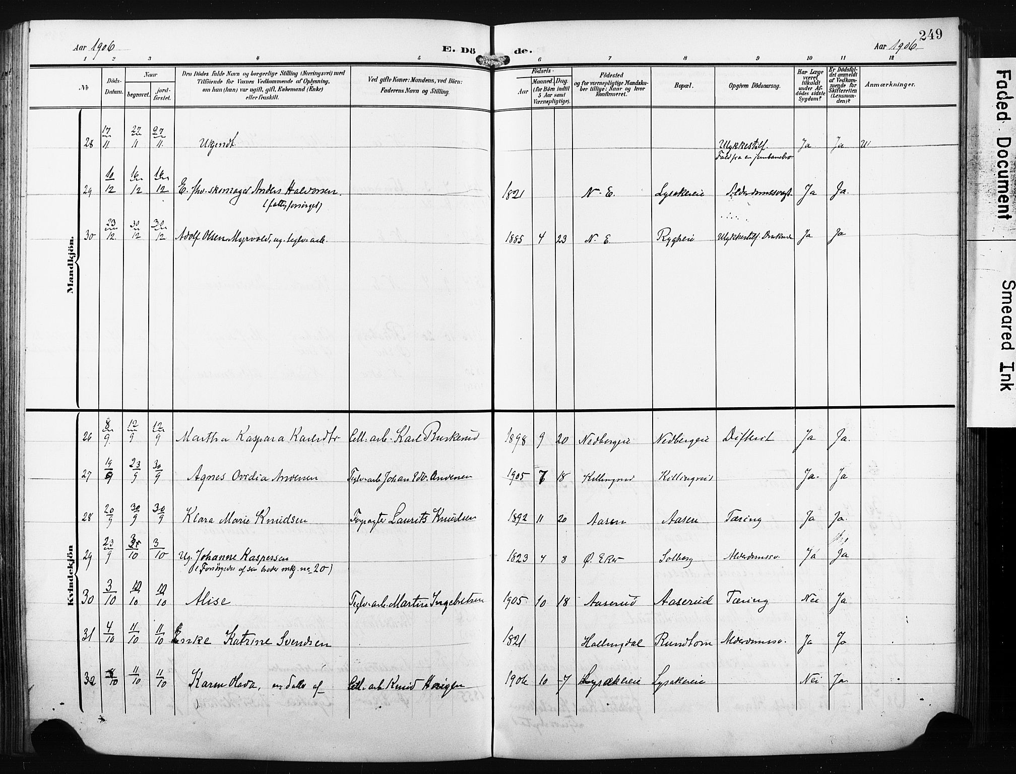 Nedre Eiker kirkebøker, AV/SAKO-A-612/F/Fa/L0006: Parish register (official) no. 6, 1906-1912, p. 249