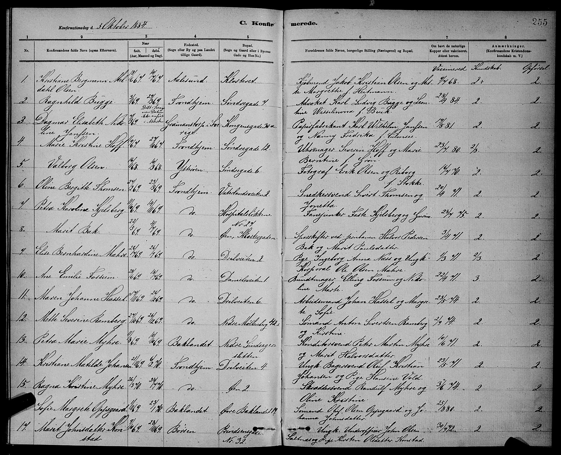 Ministerialprotokoller, klokkerbøker og fødselsregistre - Sør-Trøndelag, SAT/A-1456/601/L0092: Parish register (copy) no. 601C10, 1884-1897, p. 255