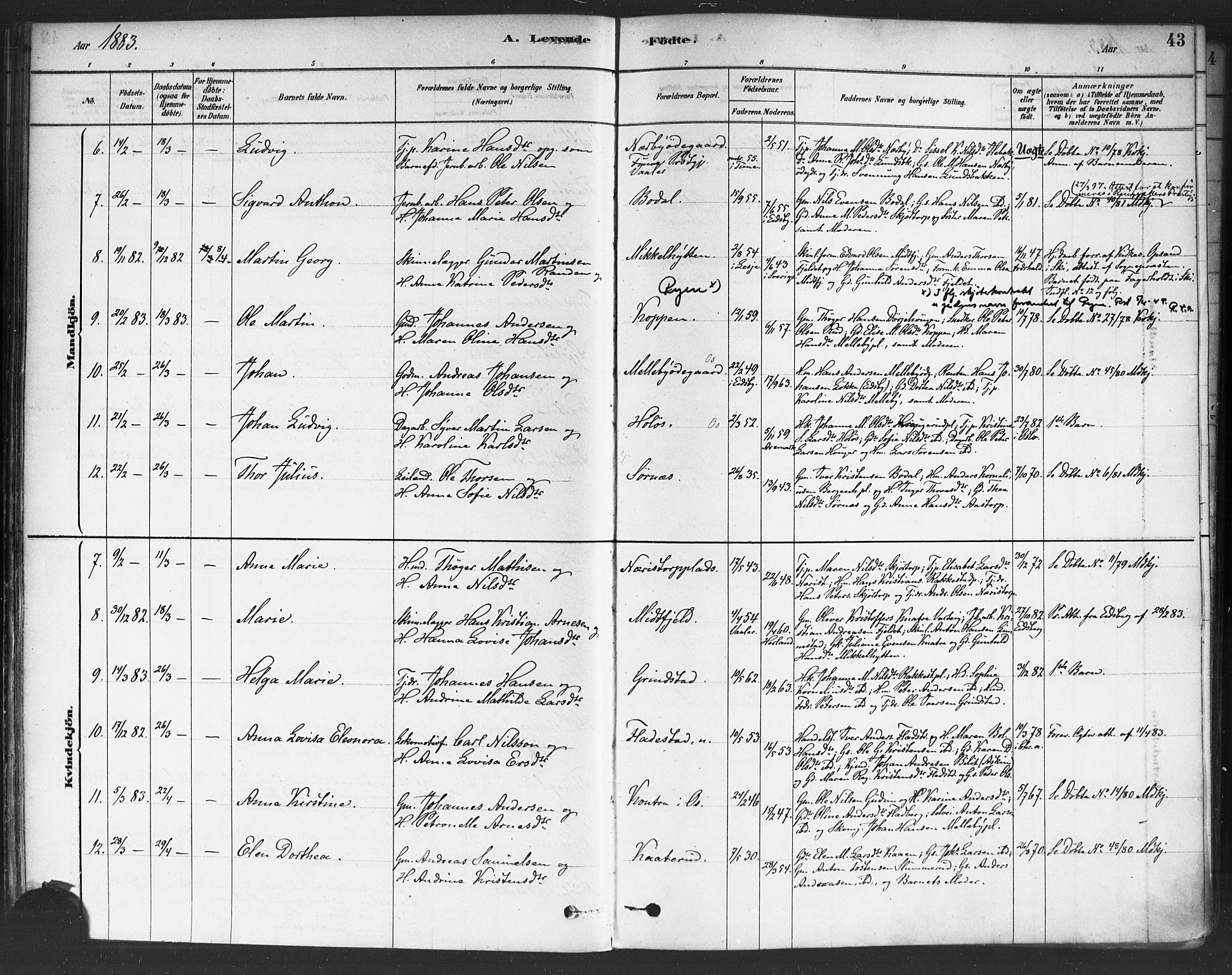 Rakkestad prestekontor Kirkebøker, AV/SAO-A-2008/F/Fa/L0012: Parish register (official) no. I 12, 1878-1893, p. 43