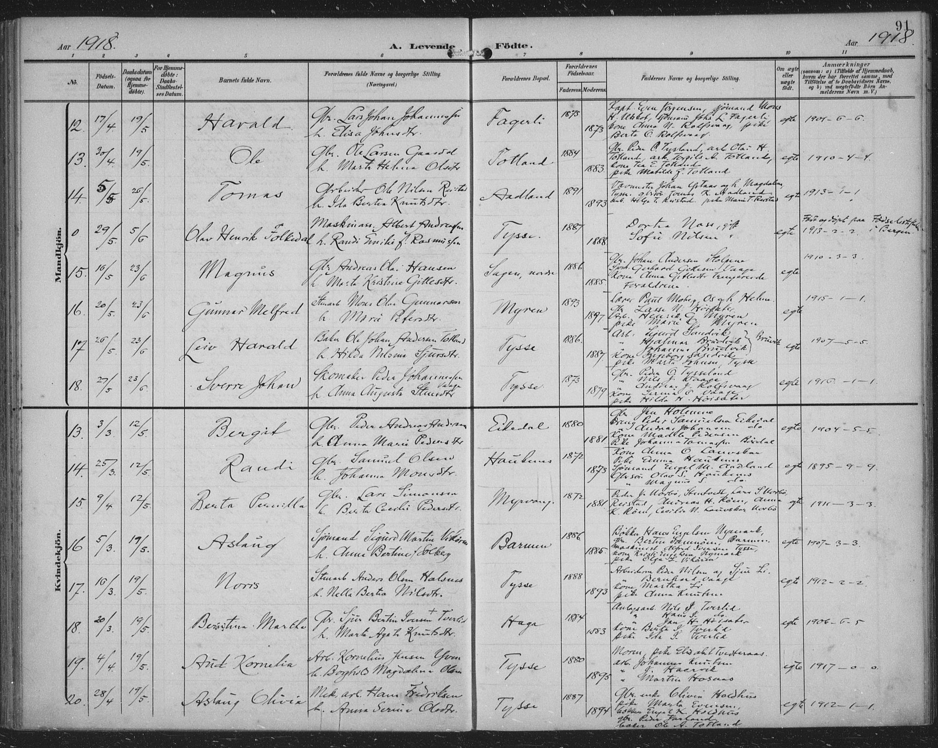 Samnanger Sokneprestembete, AV/SAB-A-77501/H/Haa: Parish register (official) no. A 2, 1902-1918, p. 91