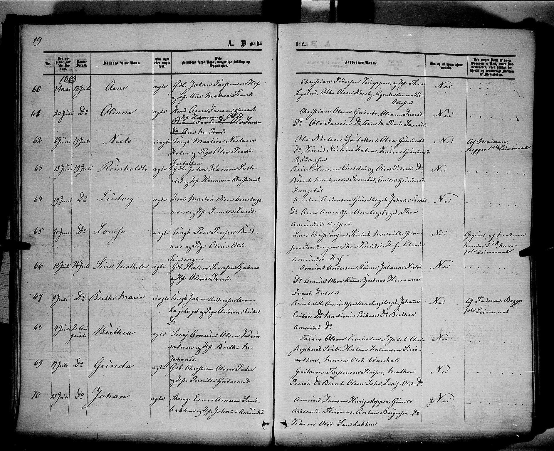 Hof prestekontor, AV/SAH-PREST-038/H/Ha/Haa/L0009: Parish register (official) no. 9, 1862-1877, p. 19