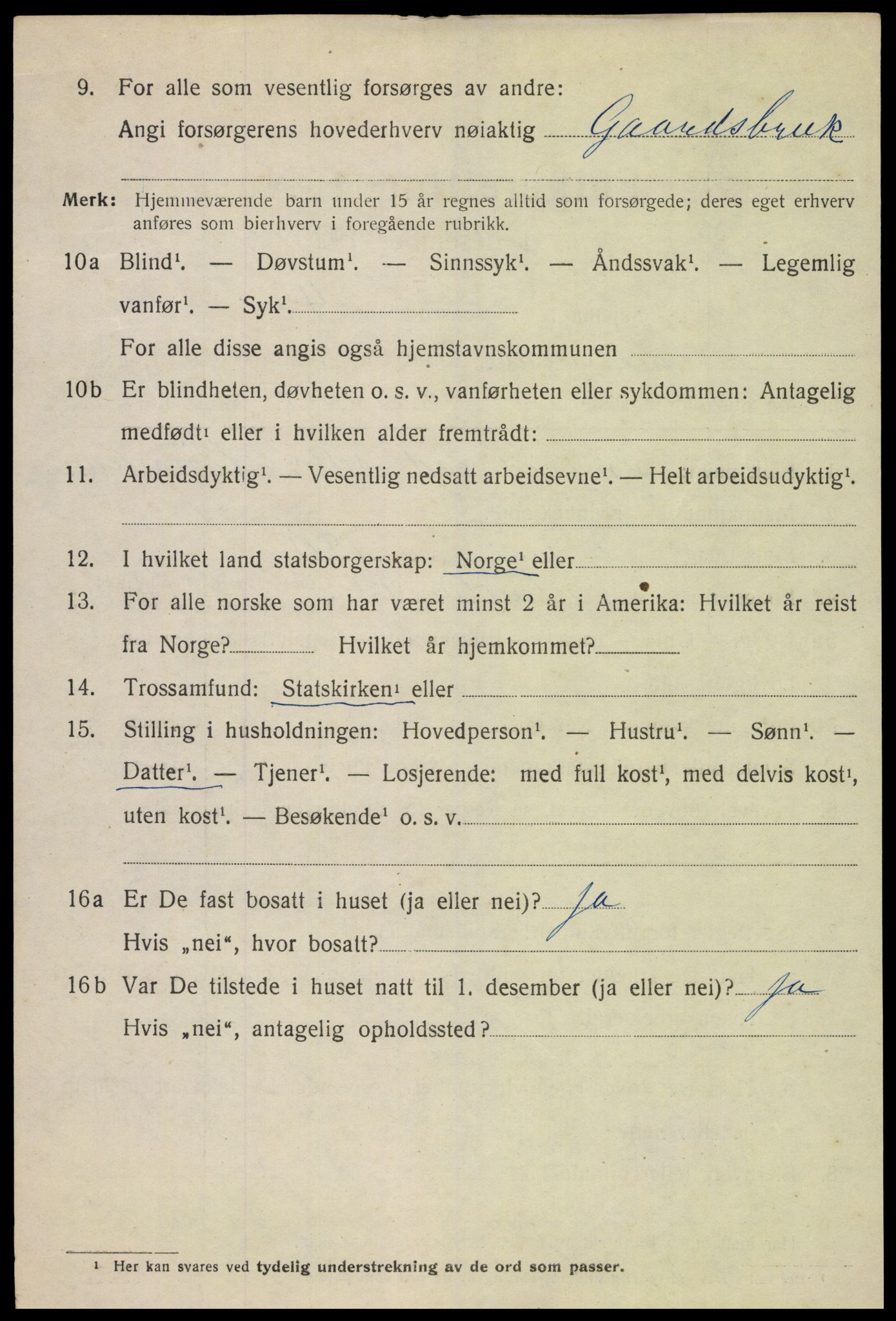 SAH, 1920 census for Snertingdal, 1920, p. 1366