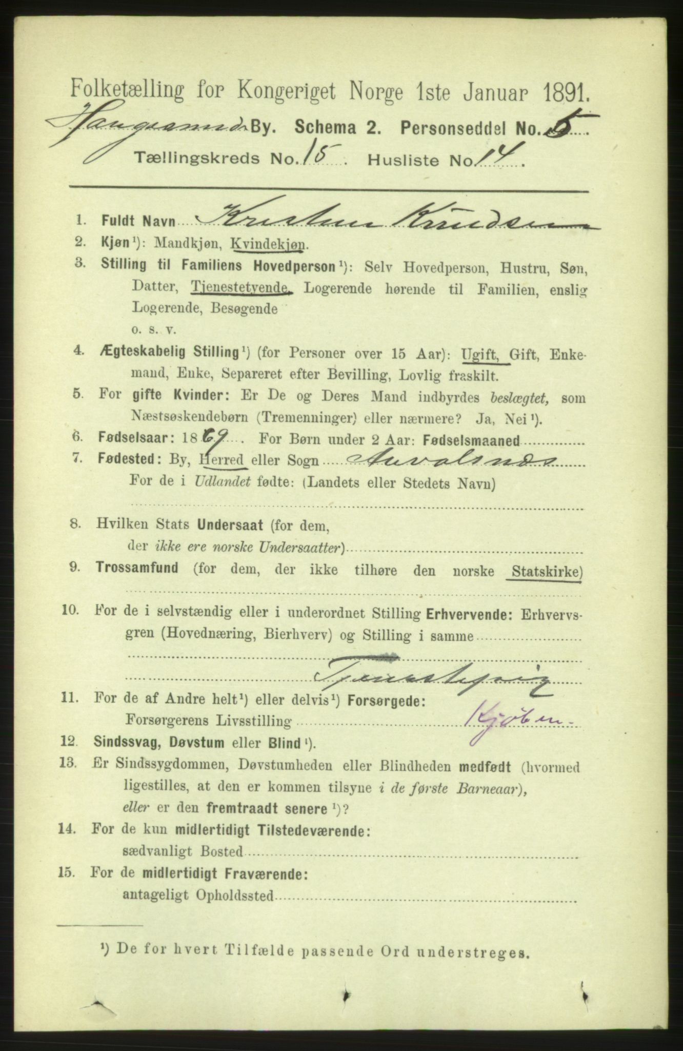 RA, 1891 census for 1106 Haugesund, 1891, p. 5046