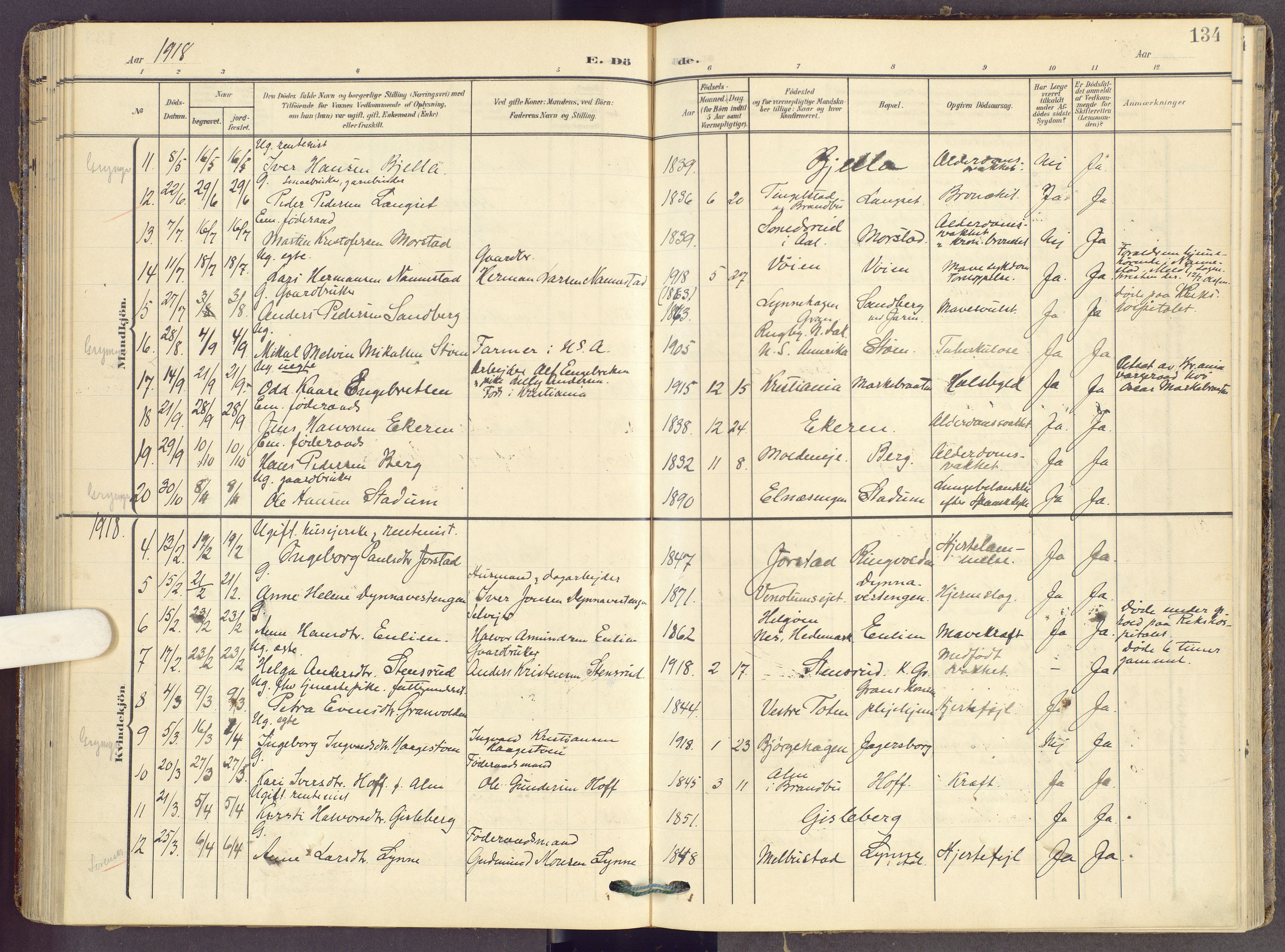 Gran prestekontor, AV/SAH-PREST-112/H/Ha/Haa/L0022: Parish register (official) no. 22, 1908-1918, p. 134