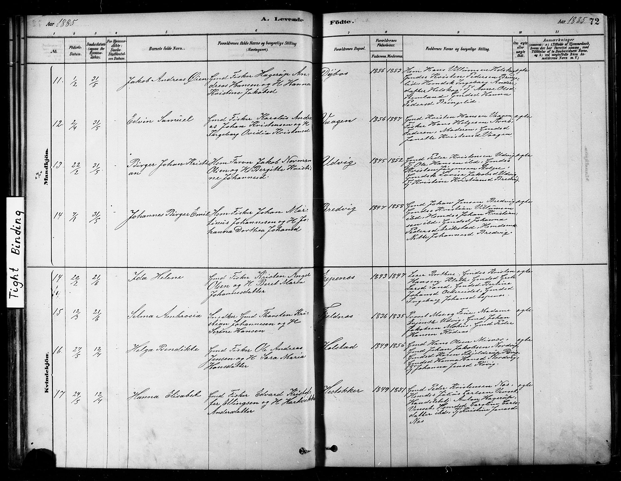 Ministerialprotokoller, klokkerbøker og fødselsregistre - Nordland, AV/SAT-A-1459/852/L0740: Parish register (official) no. 852A10, 1878-1894, p. 72