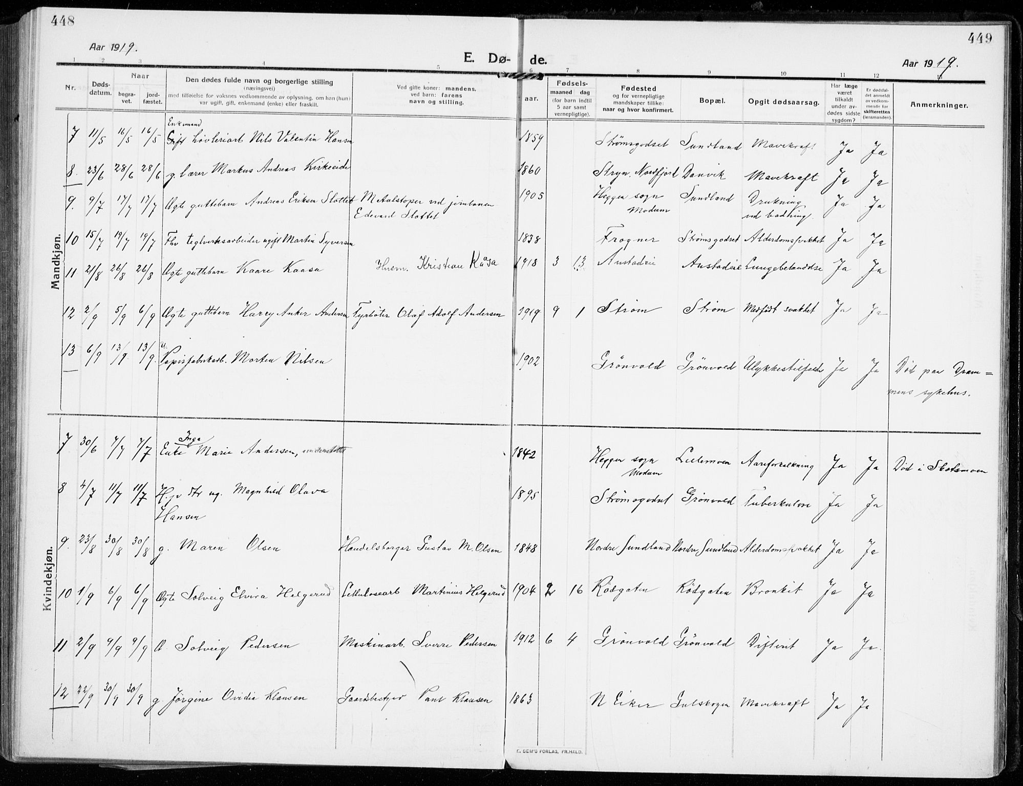 Strømsgodset kirkebøker, AV/SAKO-A-324/F/Fa/L0002: Parish register (official) no. 2, 1910-1920, p. 448-449