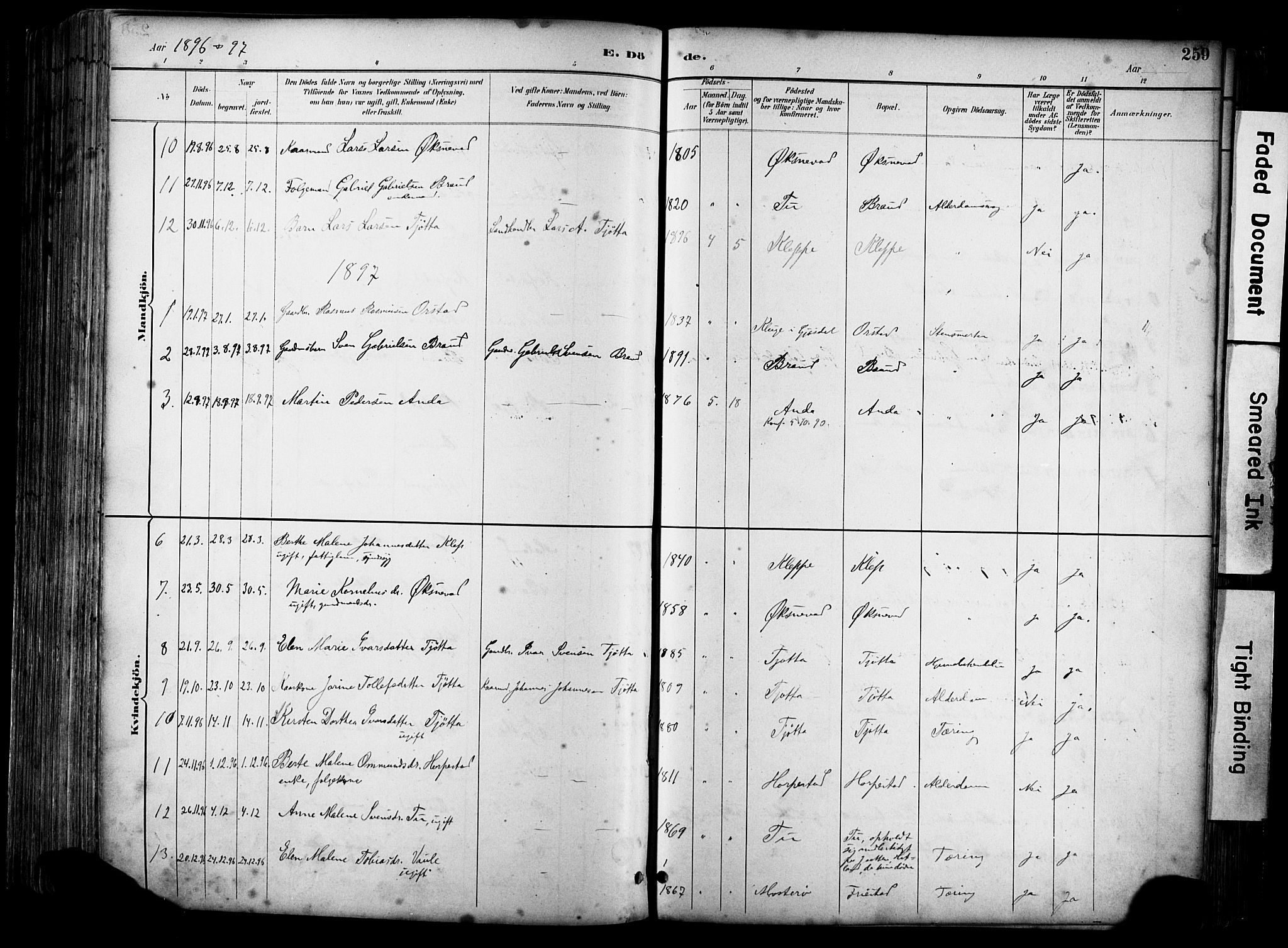Klepp sokneprestkontor, SAST/A-101803/001/3/30BA/L0009: Parish register (official) no. A 7, 1886-1915, p. 259