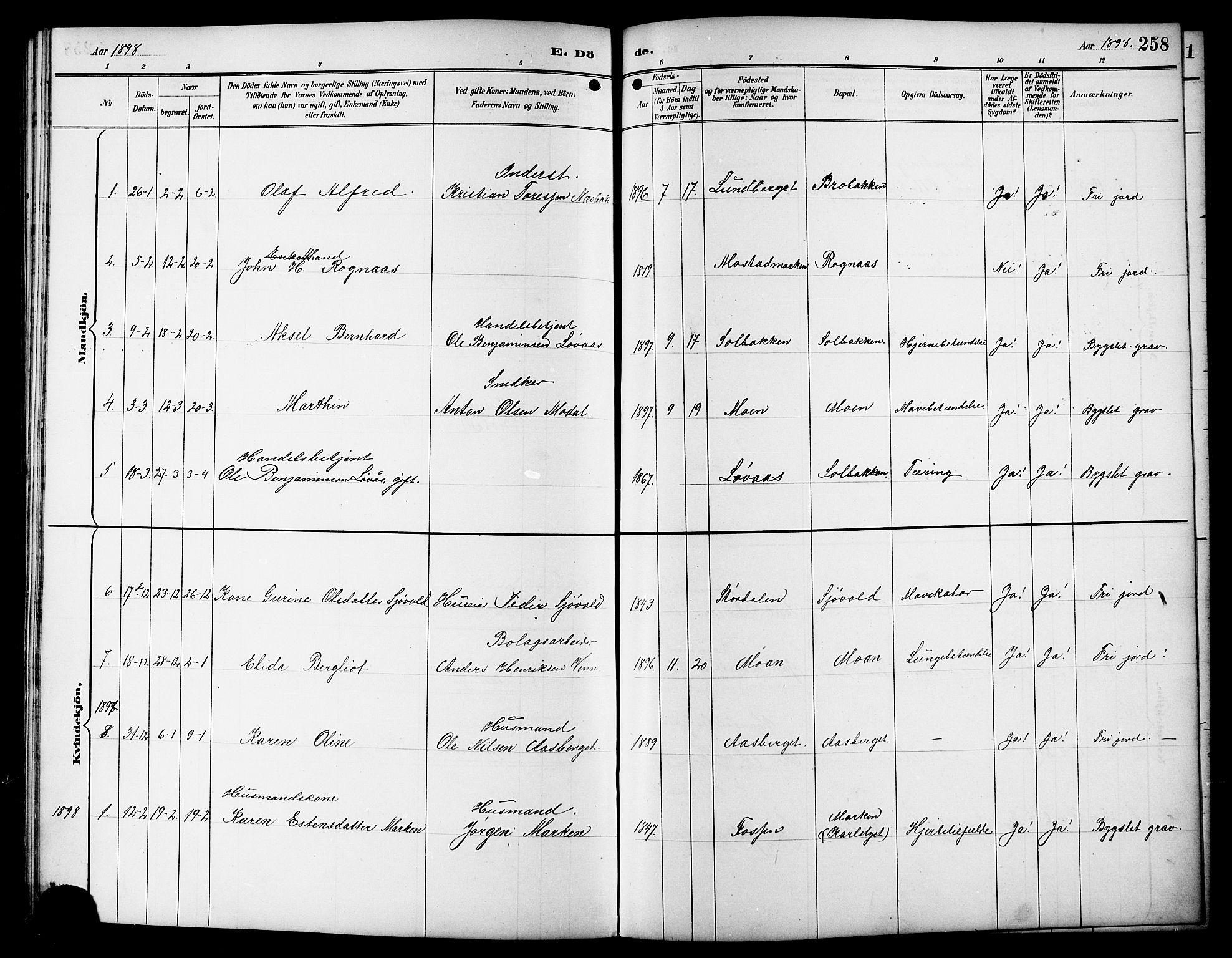 Ministerialprotokoller, klokkerbøker og fødselsregistre - Sør-Trøndelag, SAT/A-1456/617/L0431: Parish register (copy) no. 617C01, 1889-1910, p. 258