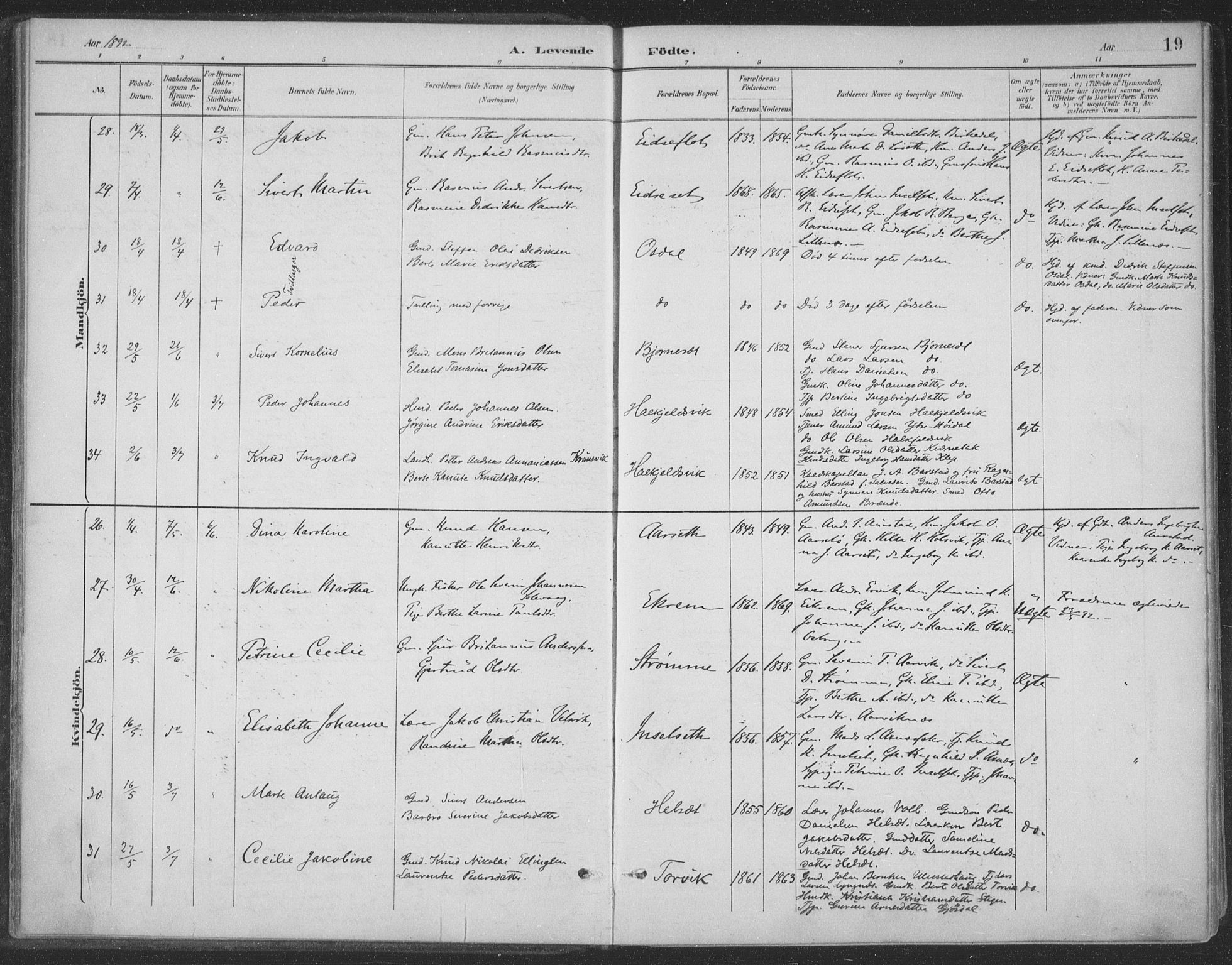 Ministerialprotokoller, klokkerbøker og fødselsregistre - Møre og Romsdal, AV/SAT-A-1454/511/L0142: Parish register (official) no. 511A09, 1891-1905, p. 19