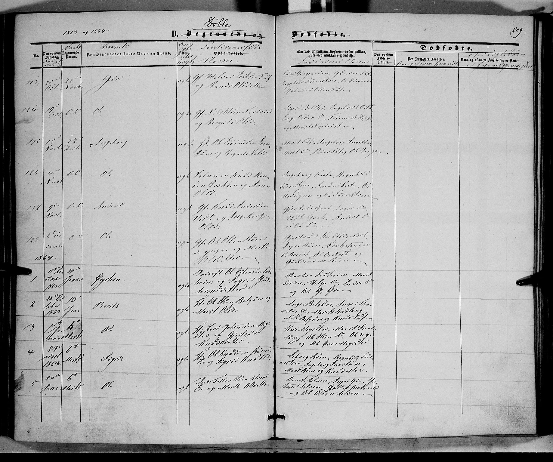 Vestre Slidre prestekontor, SAH/PREST-136/H/Ha/Haa/L0002: Parish register (official) no. 2, 1856-1864, p. 209