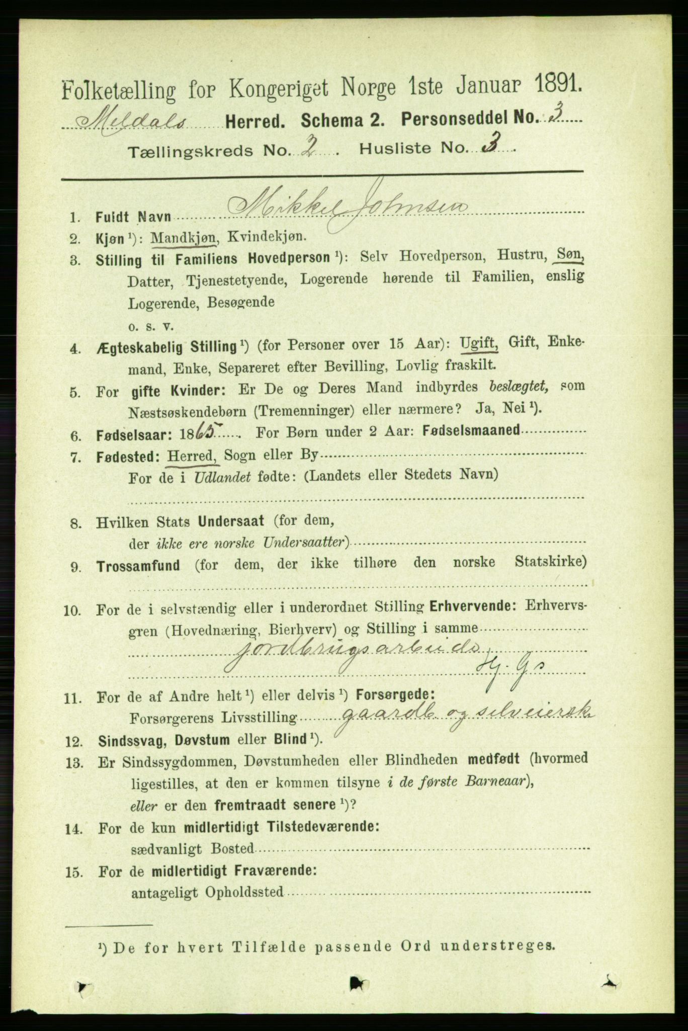 RA, 1891 census for 1636 Meldal, 1891, p. 1074