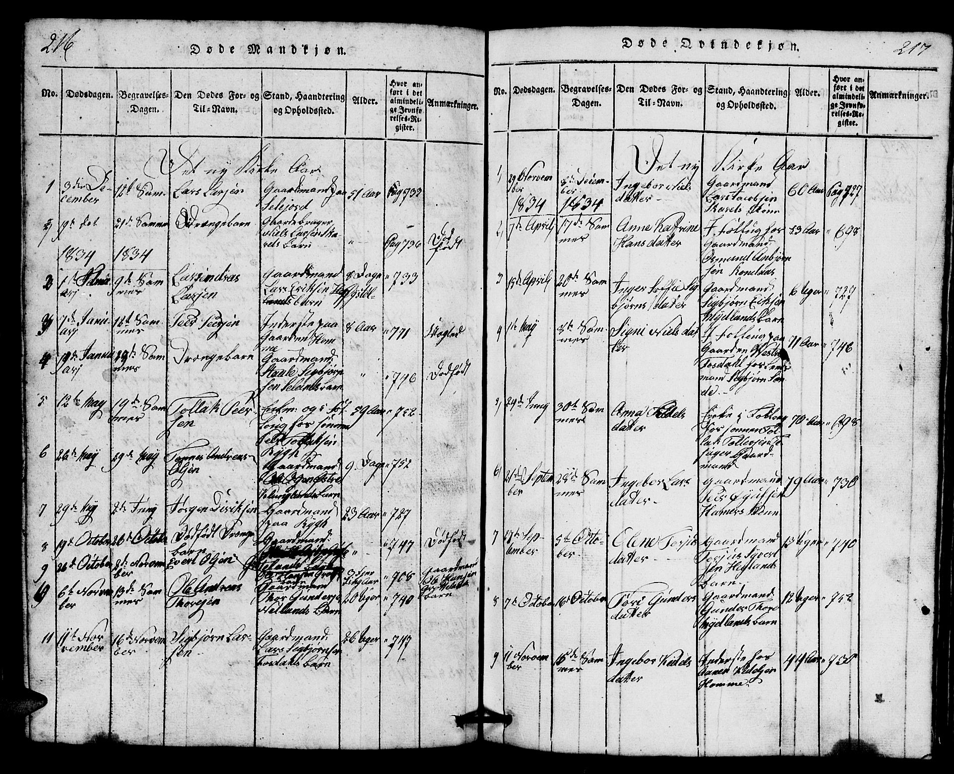 Bakke sokneprestkontor, AV/SAK-1111-0002/F/Fb/Fbb/L0001: Parish register (copy) no. B 1, 1815-1835, p. 216-217