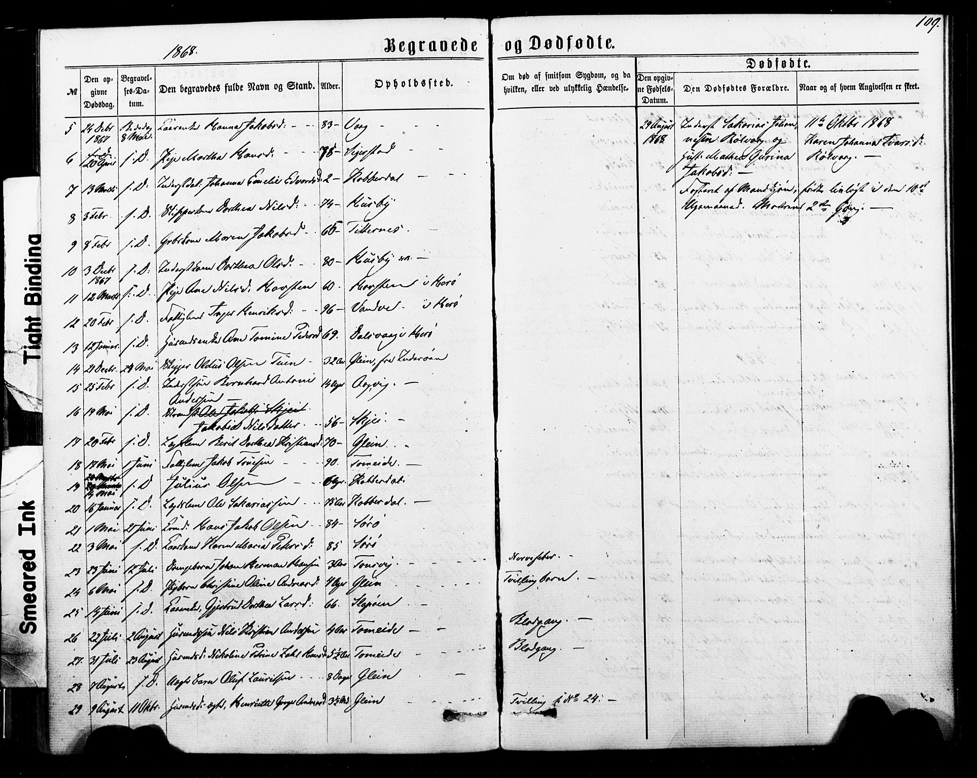 Ministerialprotokoller, klokkerbøker og fødselsregistre - Nordland, SAT/A-1459/835/L0524: Parish register (official) no. 835A02, 1865-1880, p. 109