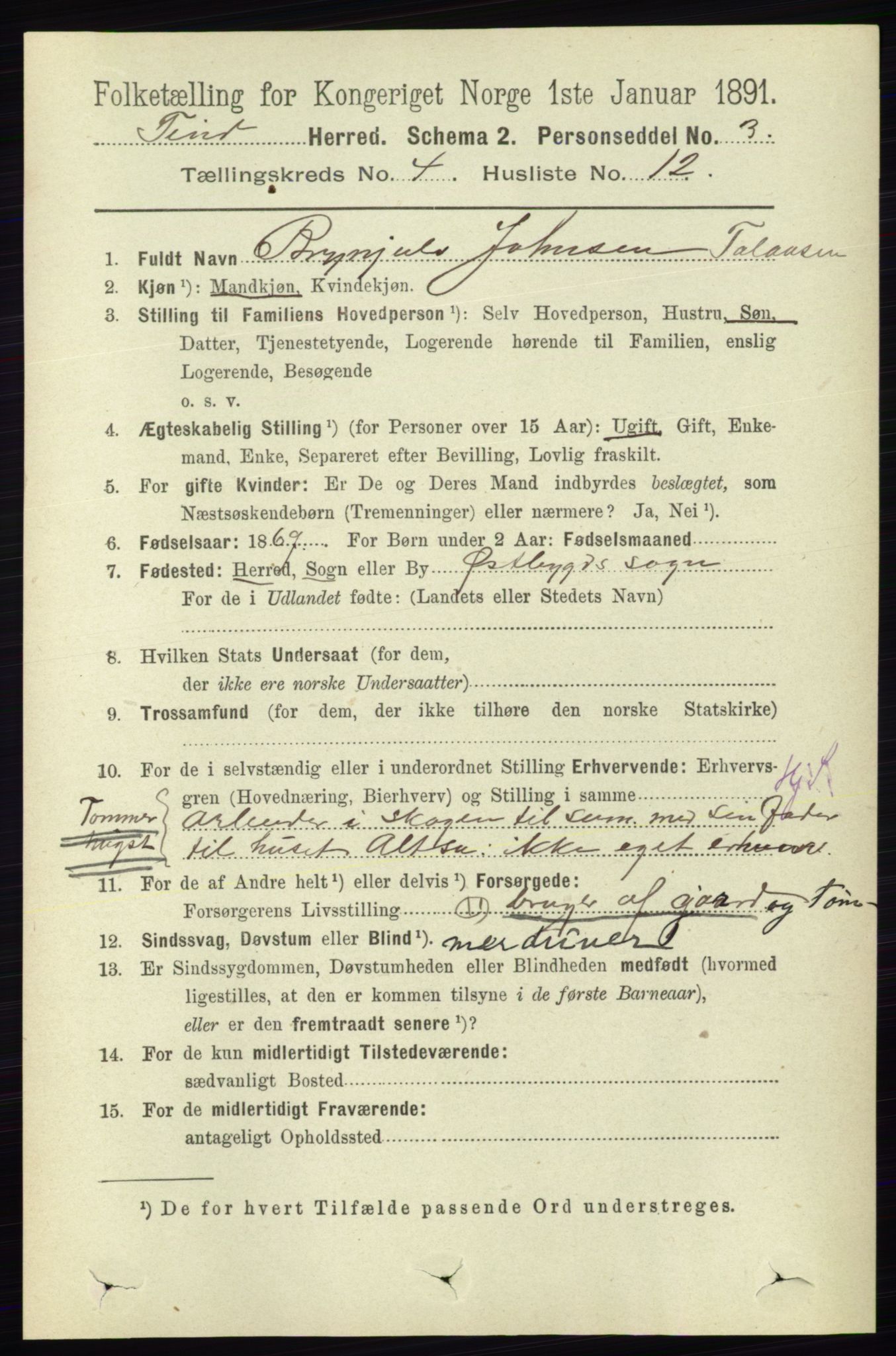 RA, 1891 census for 0826 Tinn, 1891, p. 789