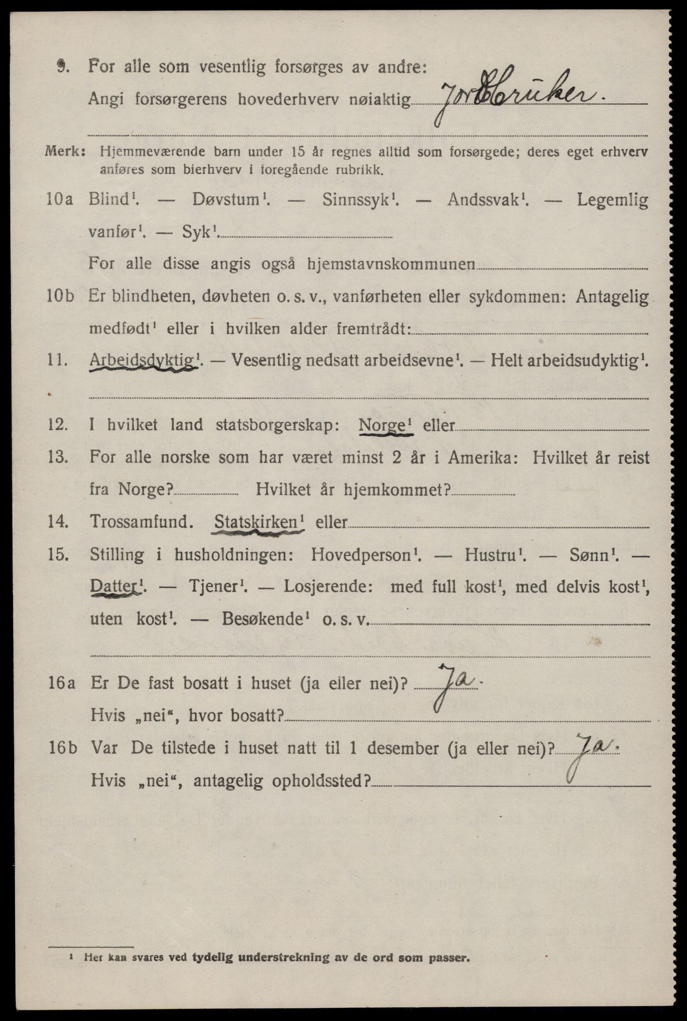 SAKO, 1920 census for Nissedal, 1920, p. 1518