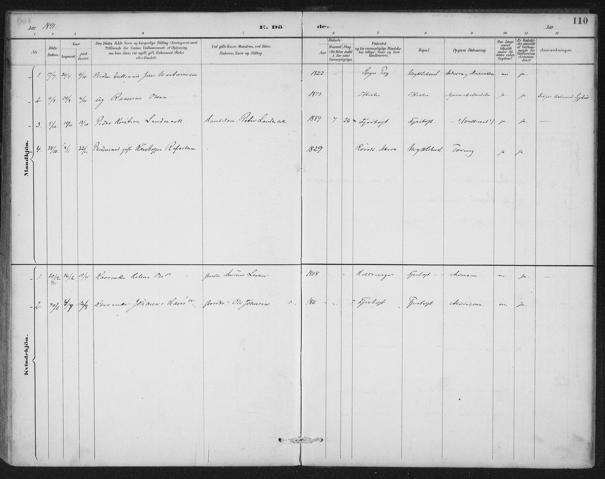 Ministerialprotokoller, klokkerbøker og fødselsregistre - Møre og Romsdal, SAT/A-1454/538/L0522: Parish register (official) no. 538A01, 1884-1913, p. 110