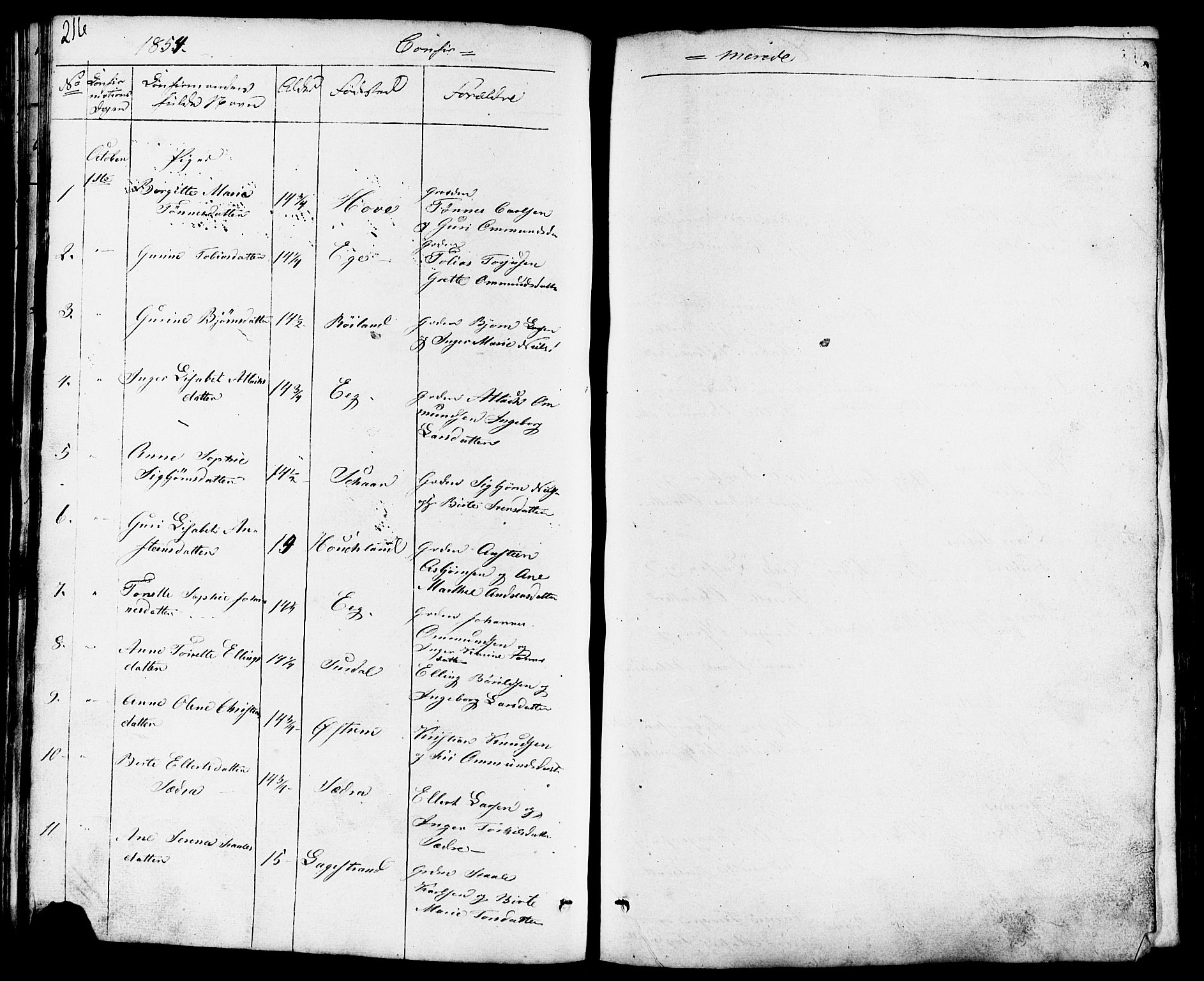 Lund sokneprestkontor, AV/SAST-A-101809/S07/L0003: Parish register (copy) no. B 3, 1848-1885, p. 216