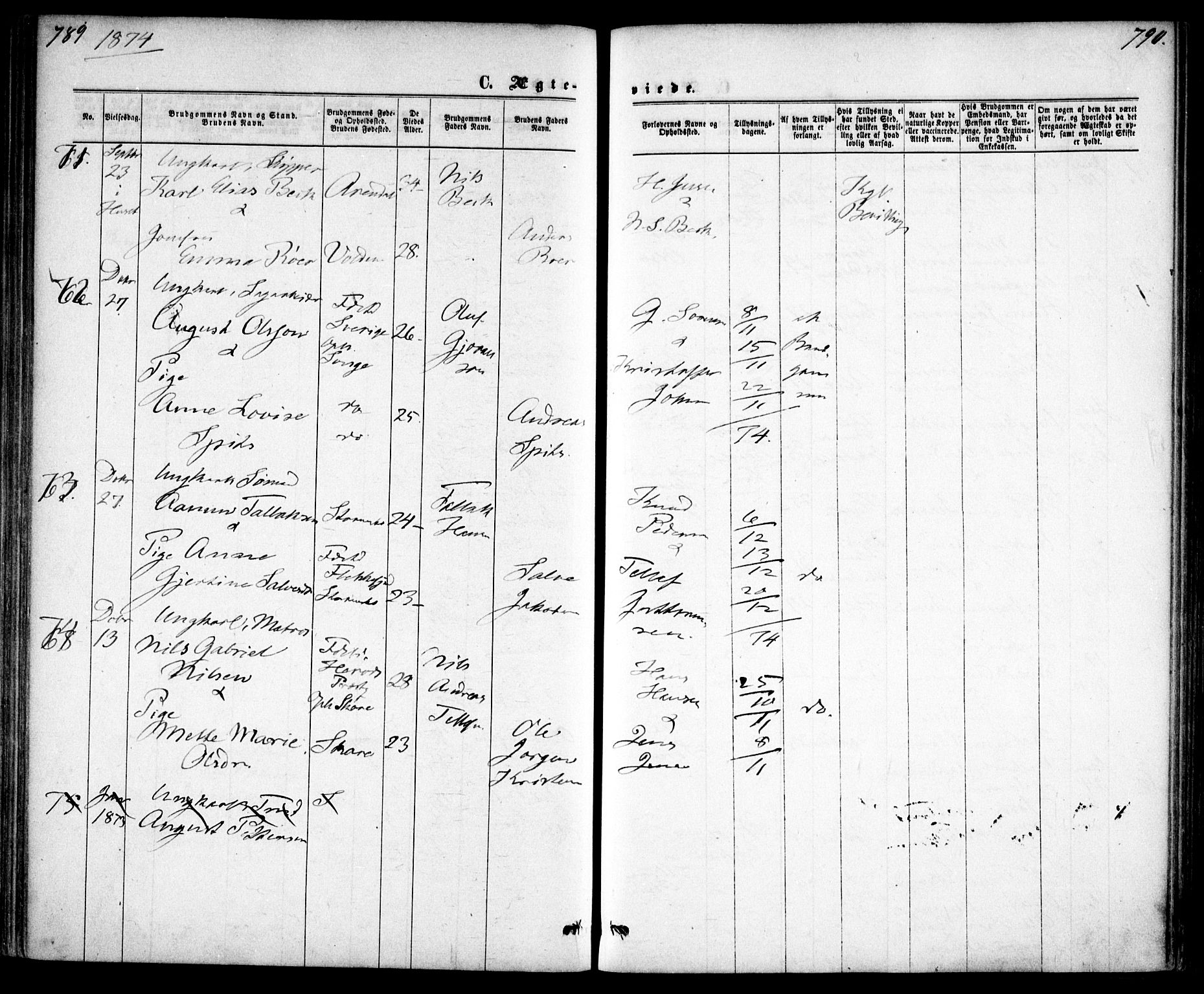 Tromøy sokneprestkontor, AV/SAK-1111-0041/F/Fa/L0008: Parish register (official) no. A 8, 1870-1877, p. 789-790