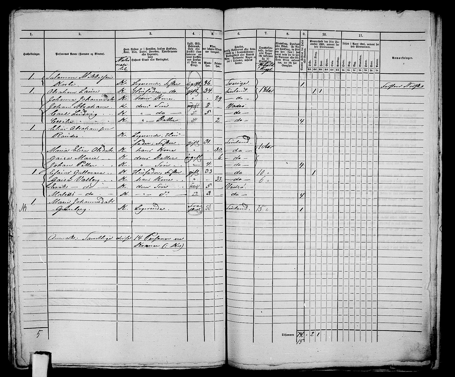 RA, 1865 census for Vadsø/Vadsø, 1865, p. 253