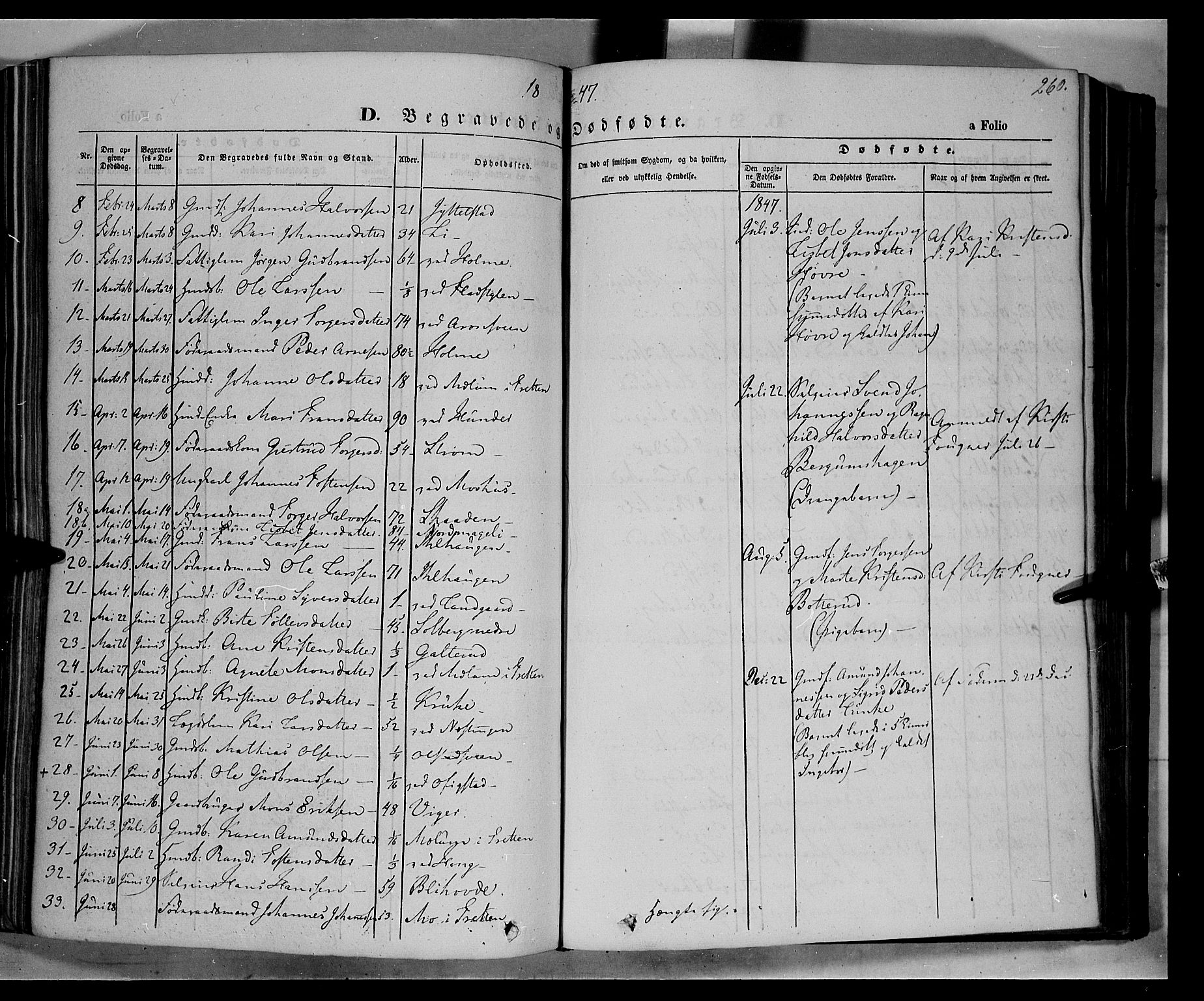 Øyer prestekontor, SAH/PREST-084/H/Ha/Haa/L0005: Parish register (official) no. 5, 1842-1857, p. 260