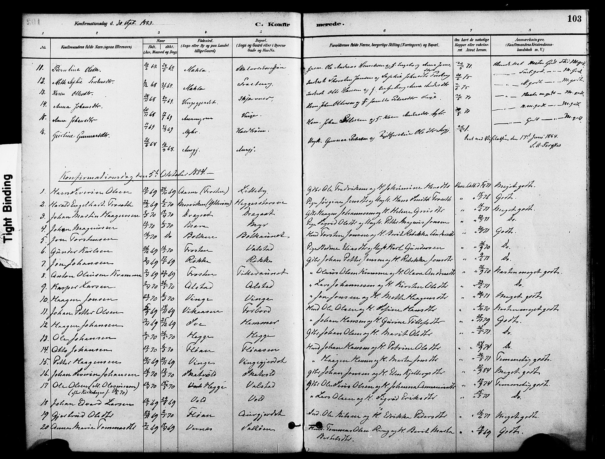 Ministerialprotokoller, klokkerbøker og fødselsregistre - Nord-Trøndelag, SAT/A-1458/712/L0100: Parish register (official) no. 712A01, 1880-1900, p. 103
