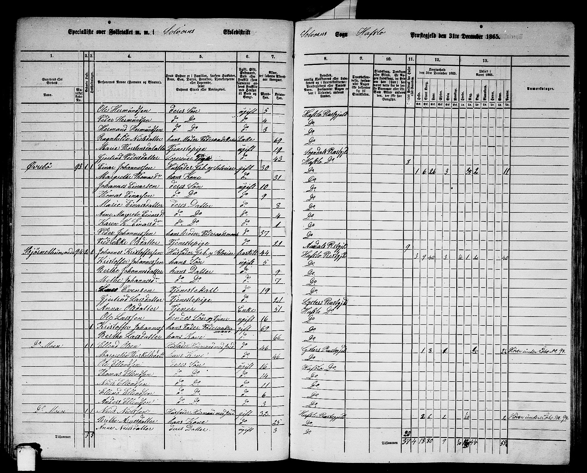 RA, 1865 census for Hafslo, 1865, p. 65