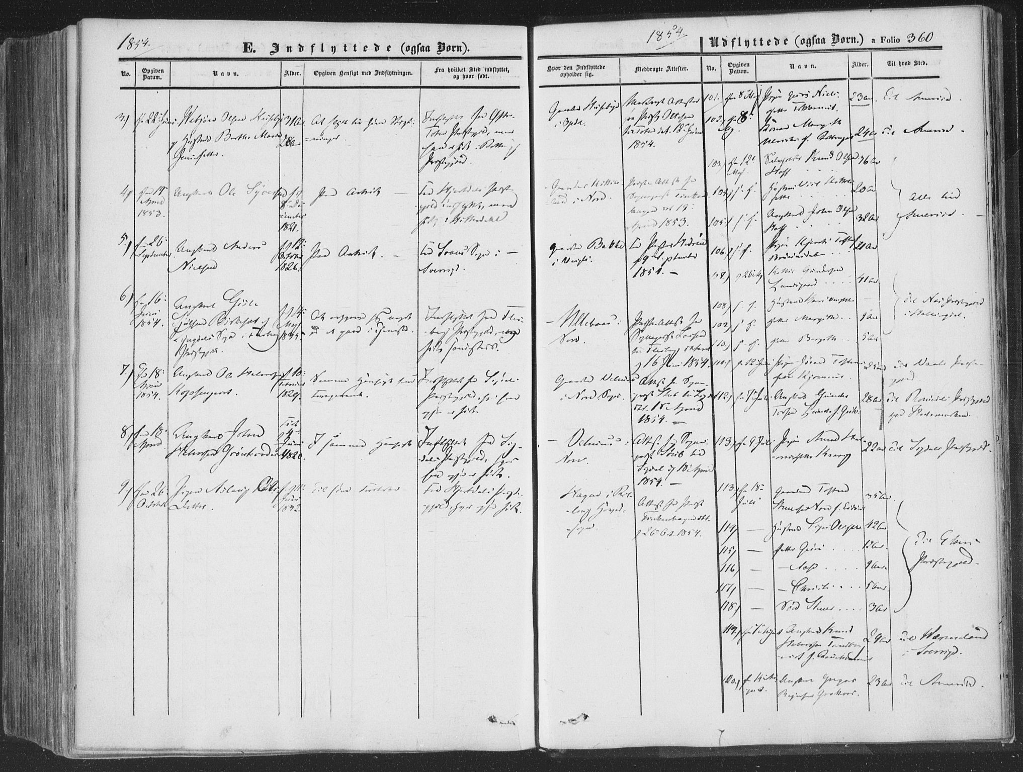 Rollag kirkebøker, SAKO/A-240/F/Fa/L0008: Parish register (official) no. I 8, 1847-1860, p. 360