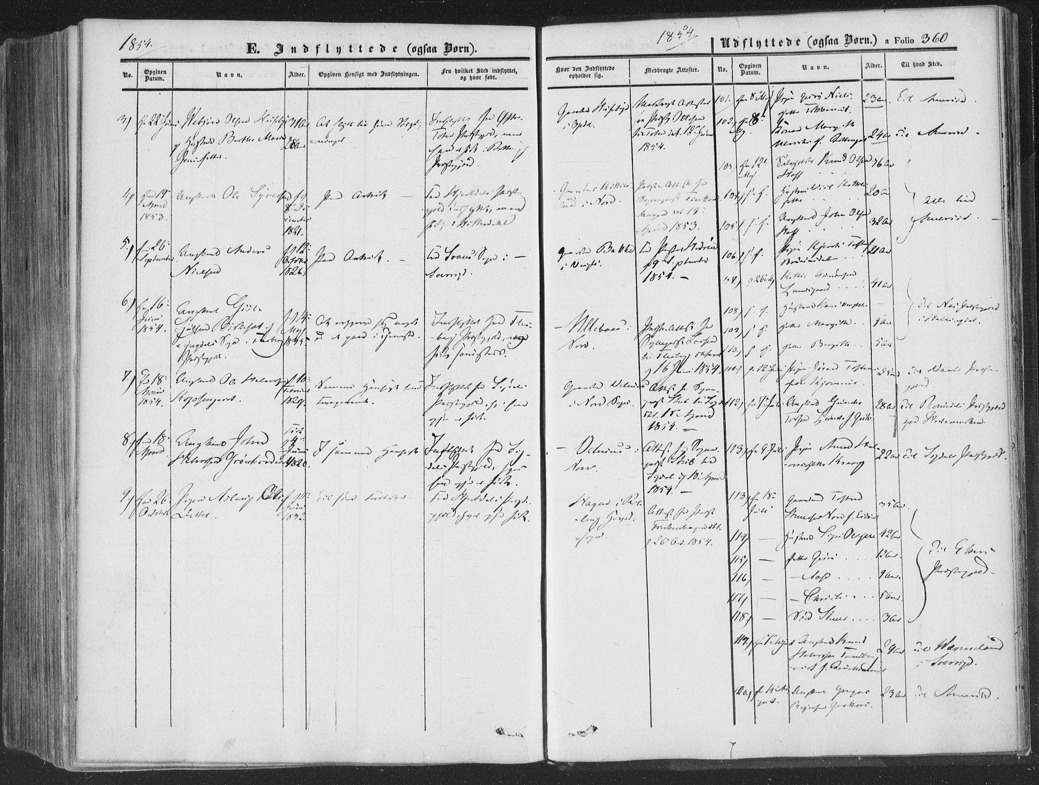 Rollag kirkebøker, AV/SAKO-A-240/F/Fa/L0008: Parish register (official) no. I 8, 1847-1860, p. 360