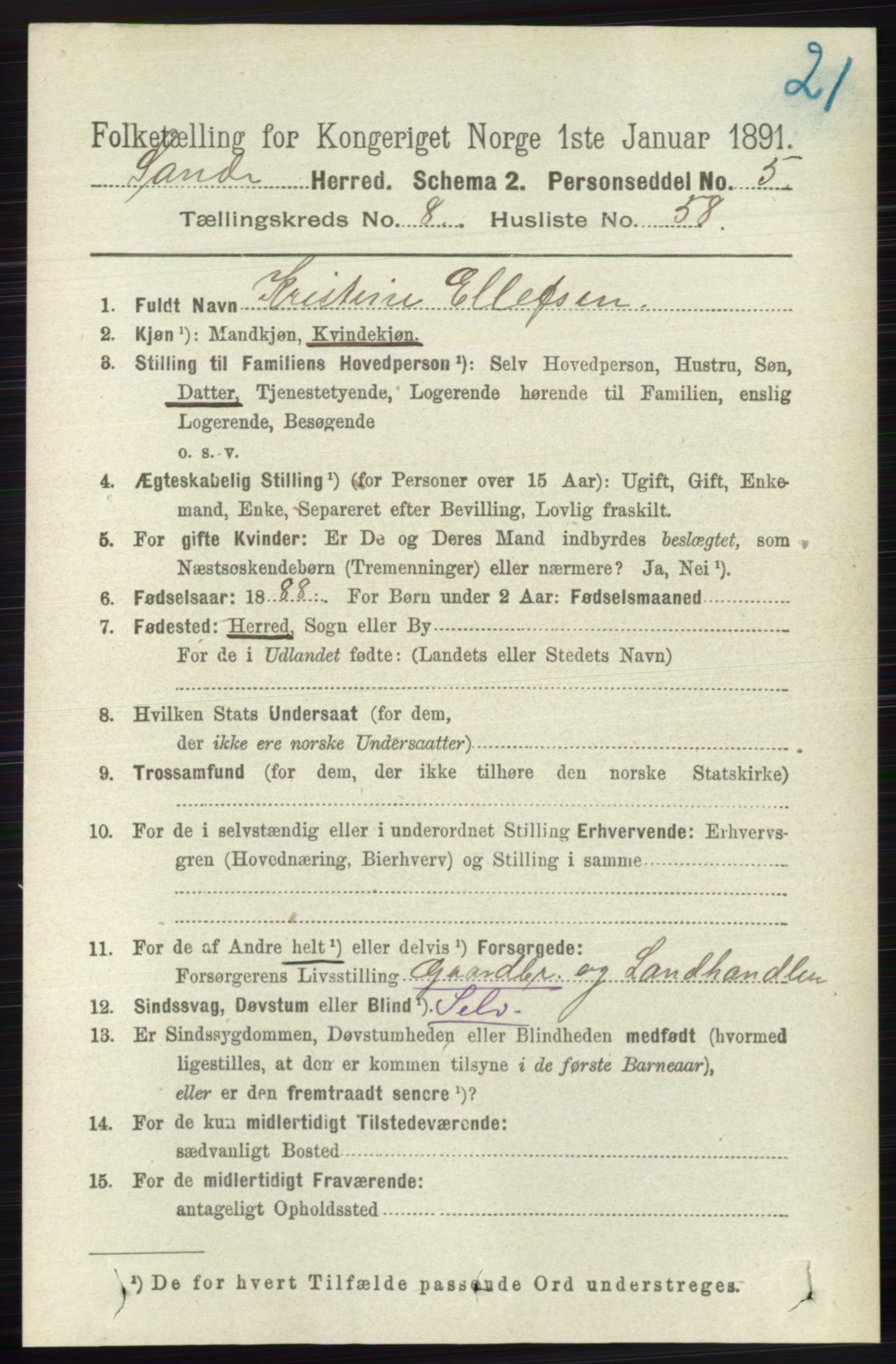 RA, 1891 census for 0713 Sande, 1891, p. 3829