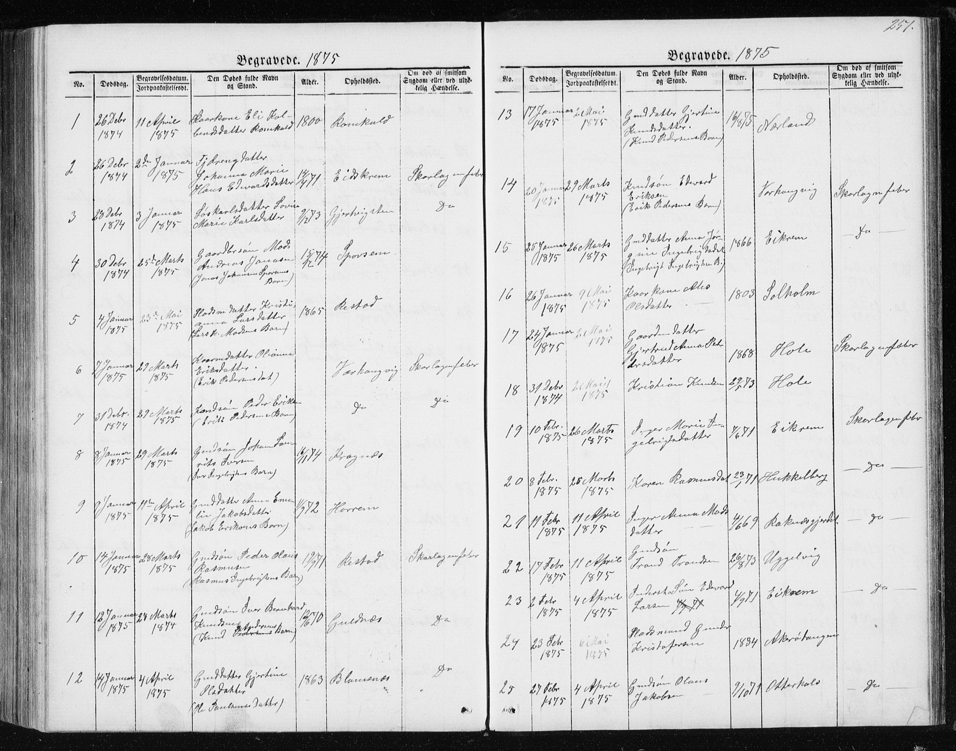 Ministerialprotokoller, klokkerbøker og fødselsregistre - Møre og Romsdal, SAT/A-1454/560/L0724: Parish register (copy) no. 560C01, 1867-1892, p. 251