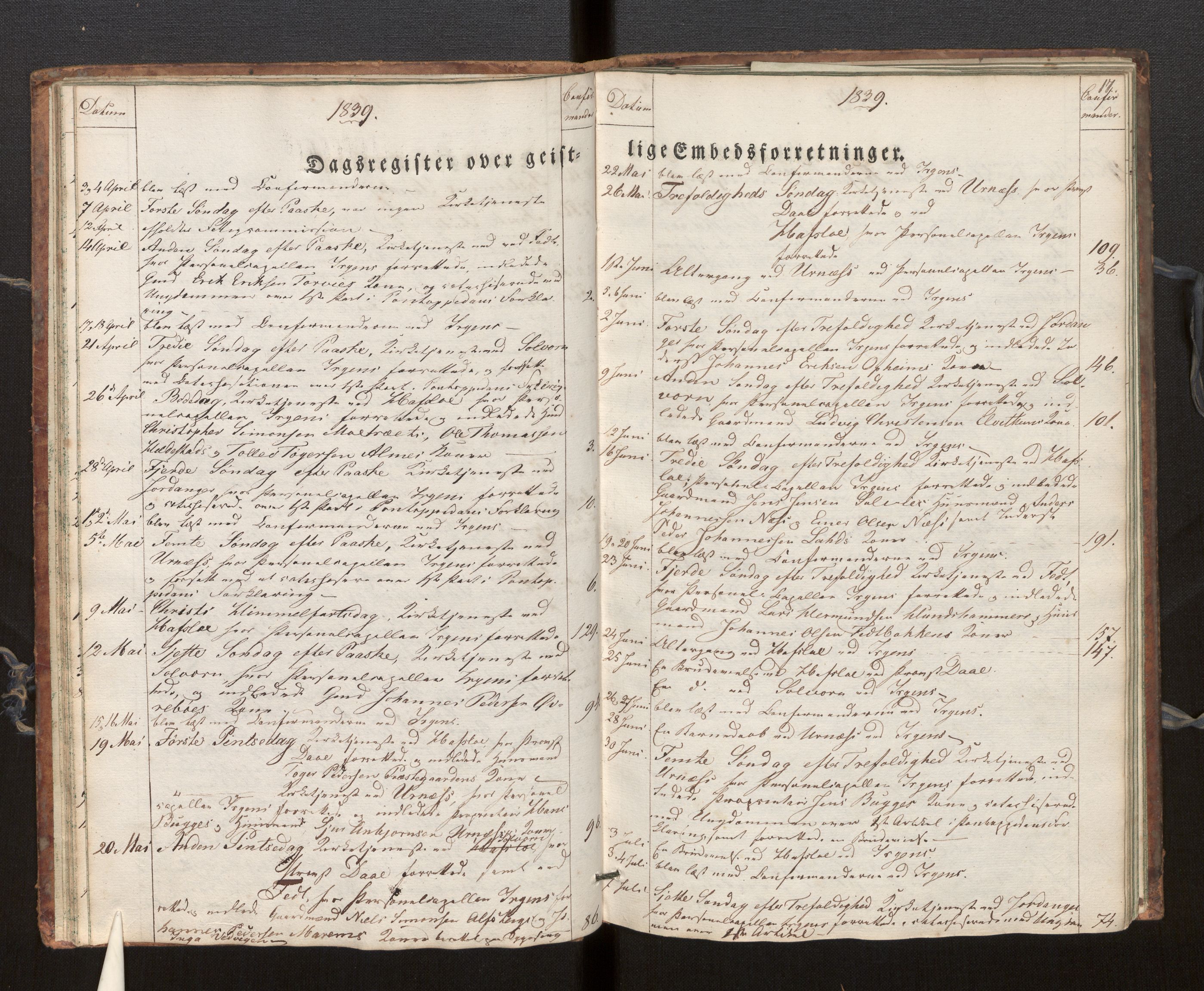 Hafslo sokneprestembete, SAB/A-80301/H/Haa/Haaf/L0001: Diary records no. F 1, 1834-1854, p. 17