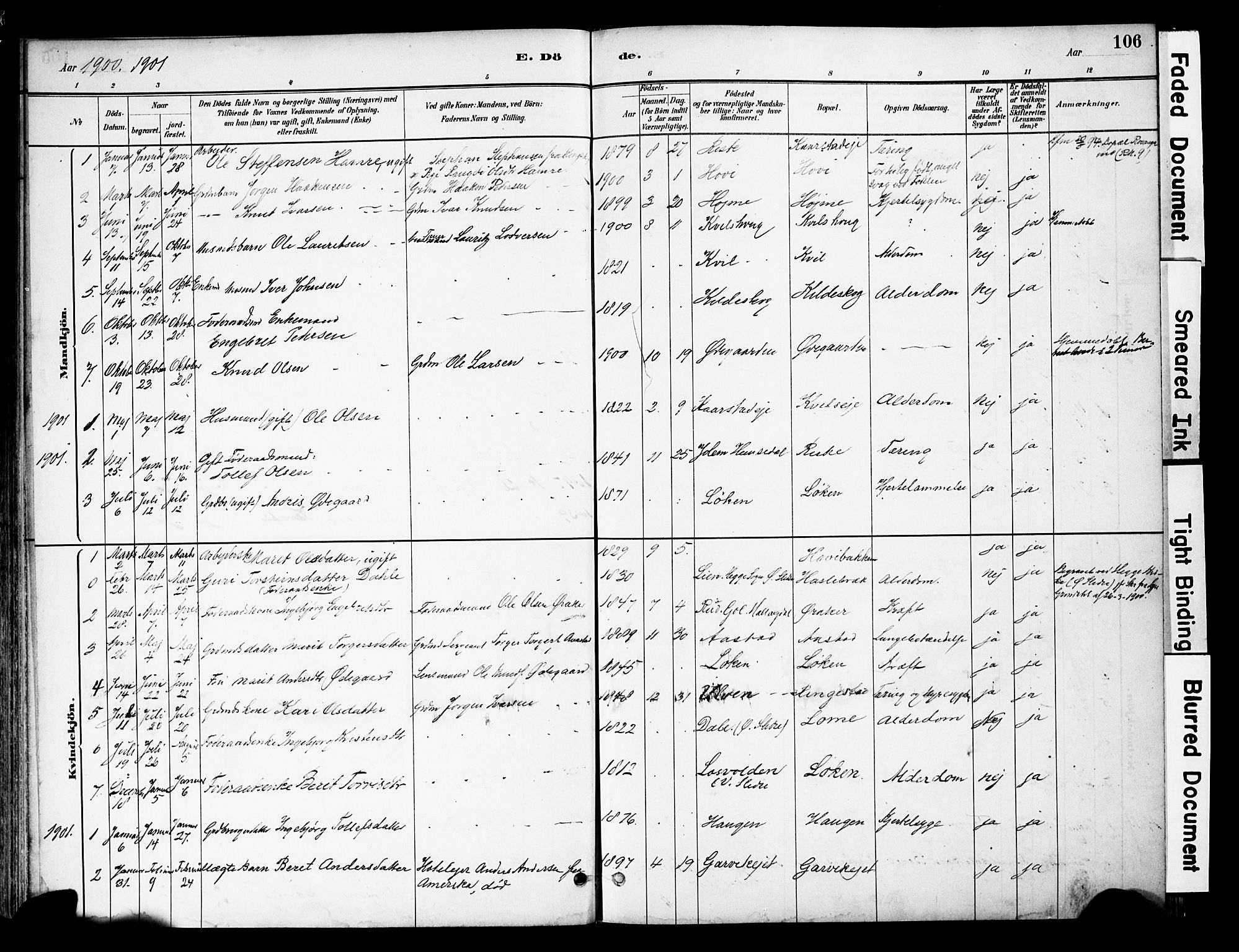 Vestre Slidre prestekontor, SAH/PREST-136/H/Ha/Haa/L0005: Parish register (official) no. 5, 1881-1912, p. 106