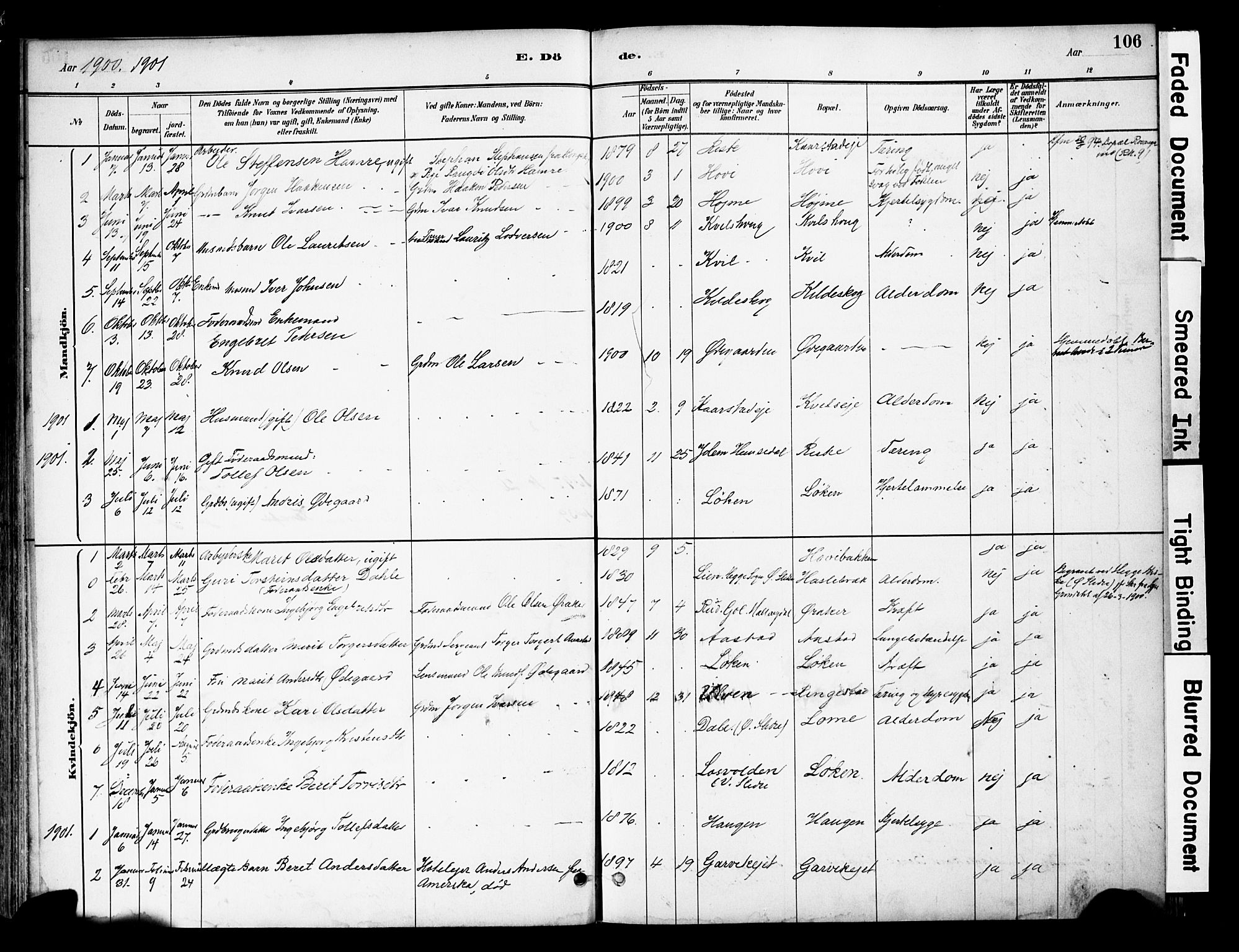 Vestre Slidre prestekontor, AV/SAH-PREST-136/H/Ha/Haa/L0005: Parish register (official) no. 5, 1881-1912, p. 106