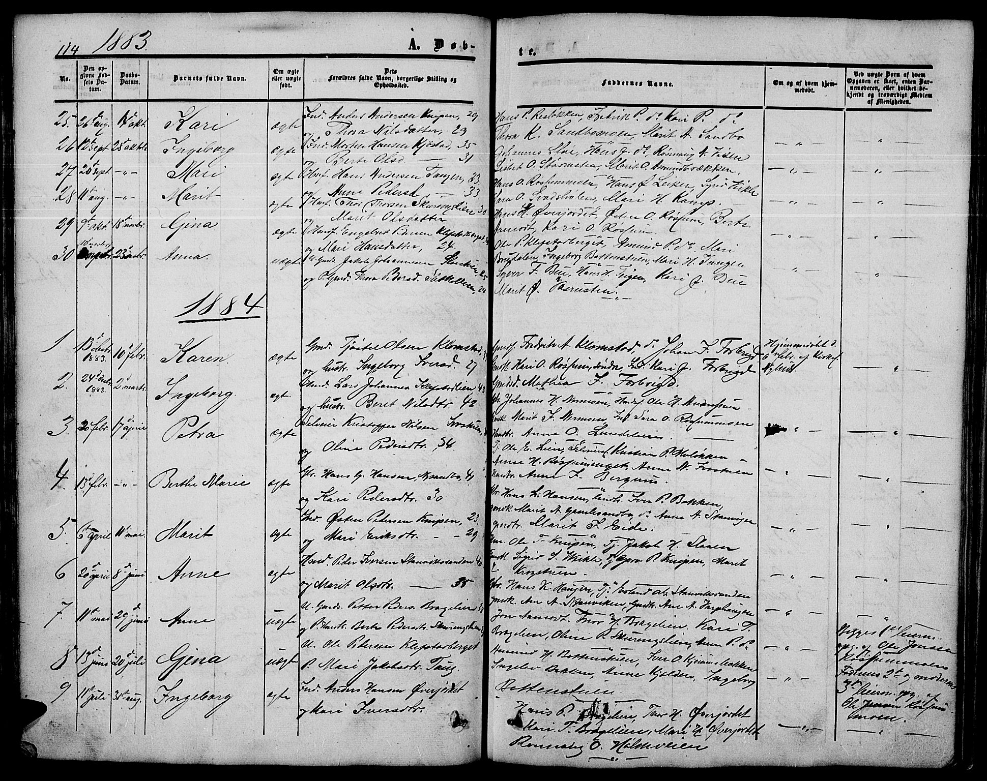 Nord-Fron prestekontor, SAH/PREST-080/H/Ha/Hab/L0003: Parish register (copy) no. 3, 1851-1886, p. 114
