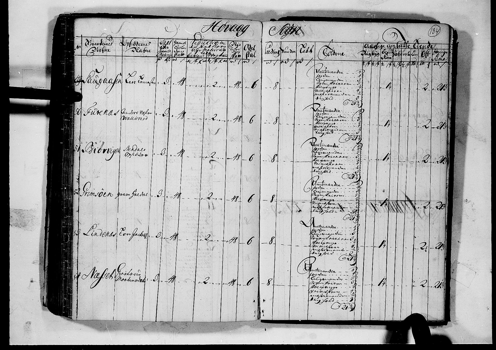 Rentekammeret inntil 1814, Realistisk ordnet avdeling, AV/RA-EA-4070/N/Nb/Nbf/L0124: Nedenes matrikkelprotokoll, 1723, p. 133b-134a