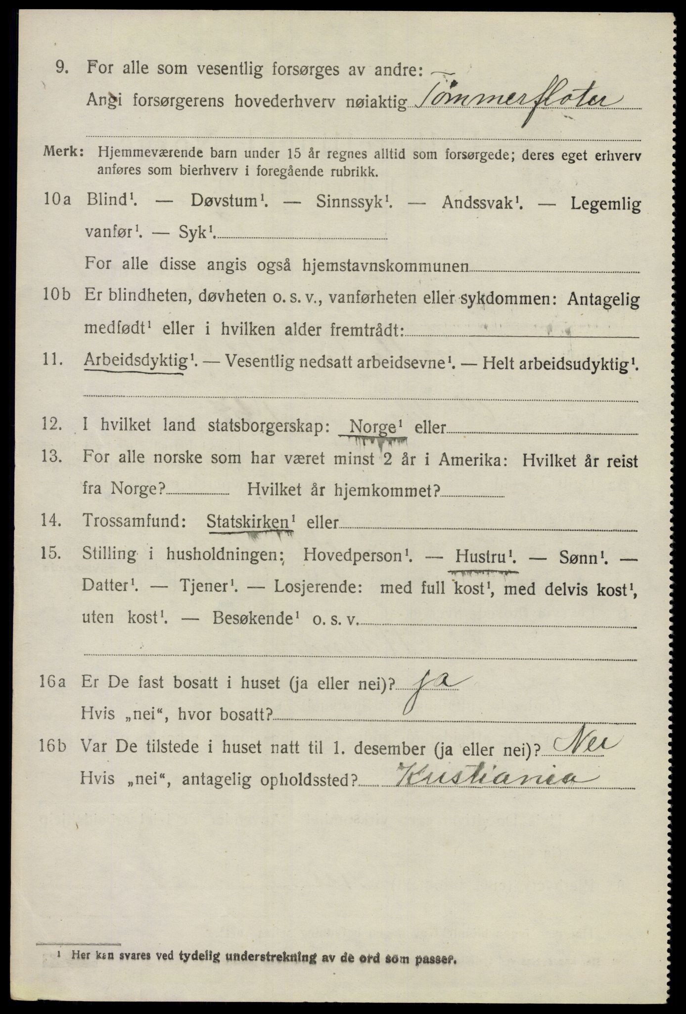 SAO, 1920 census for Nes, 1920, p. 19103