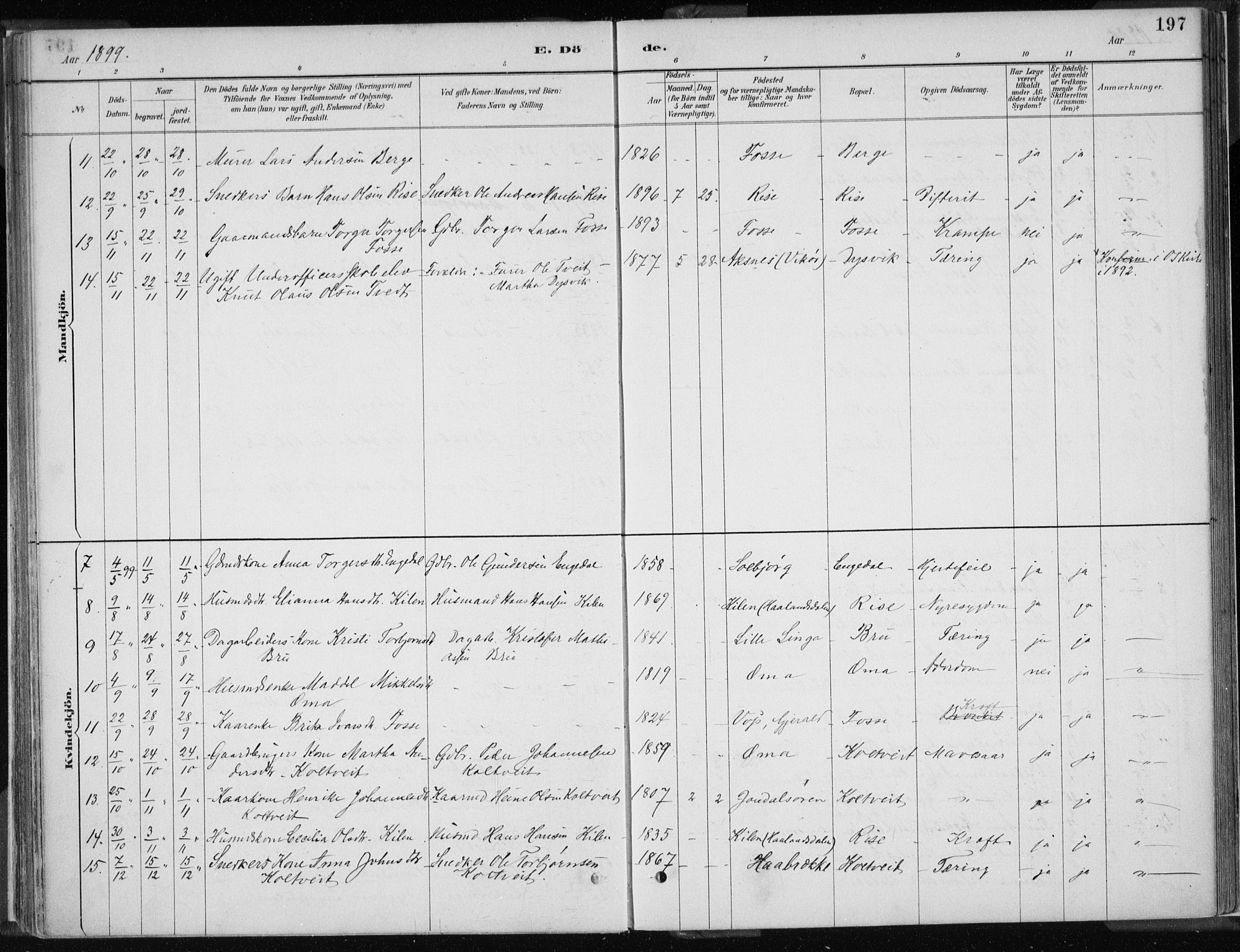 Strandebarm sokneprestembete, SAB/A-78401/H/Haa: Parish register (official) no. B  1, 1886-1908, p. 197