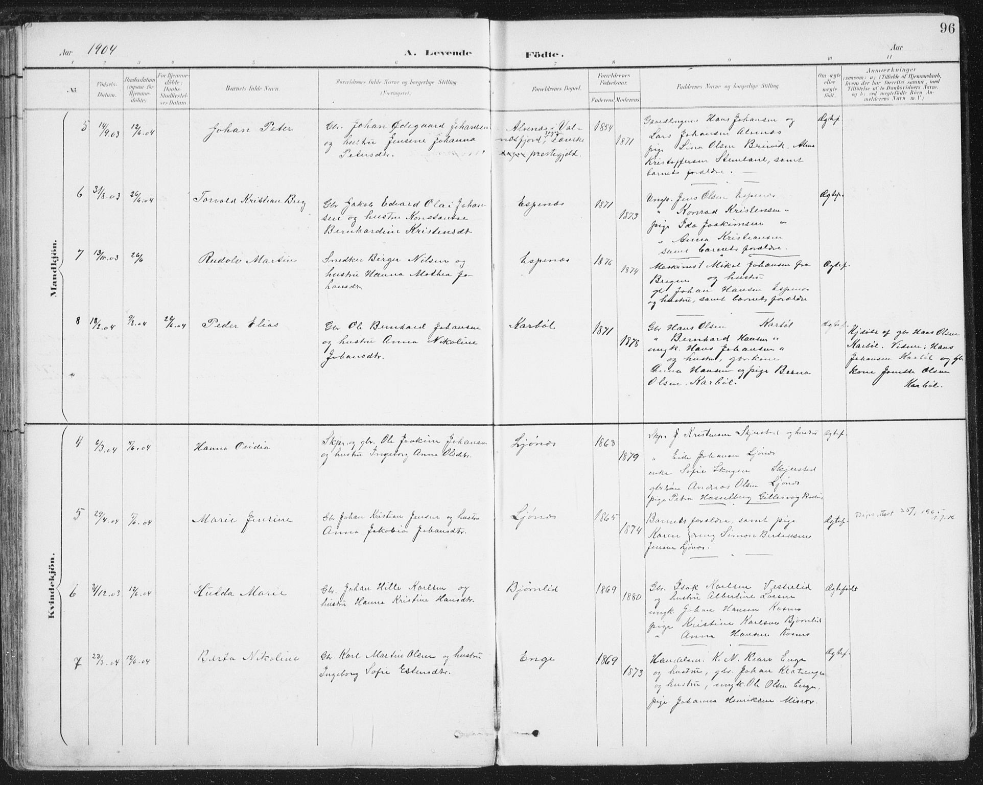 Ministerialprotokoller, klokkerbøker og fødselsregistre - Nordland, AV/SAT-A-1459/852/L0741: Parish register (official) no. 852A11, 1894-1917, p. 96