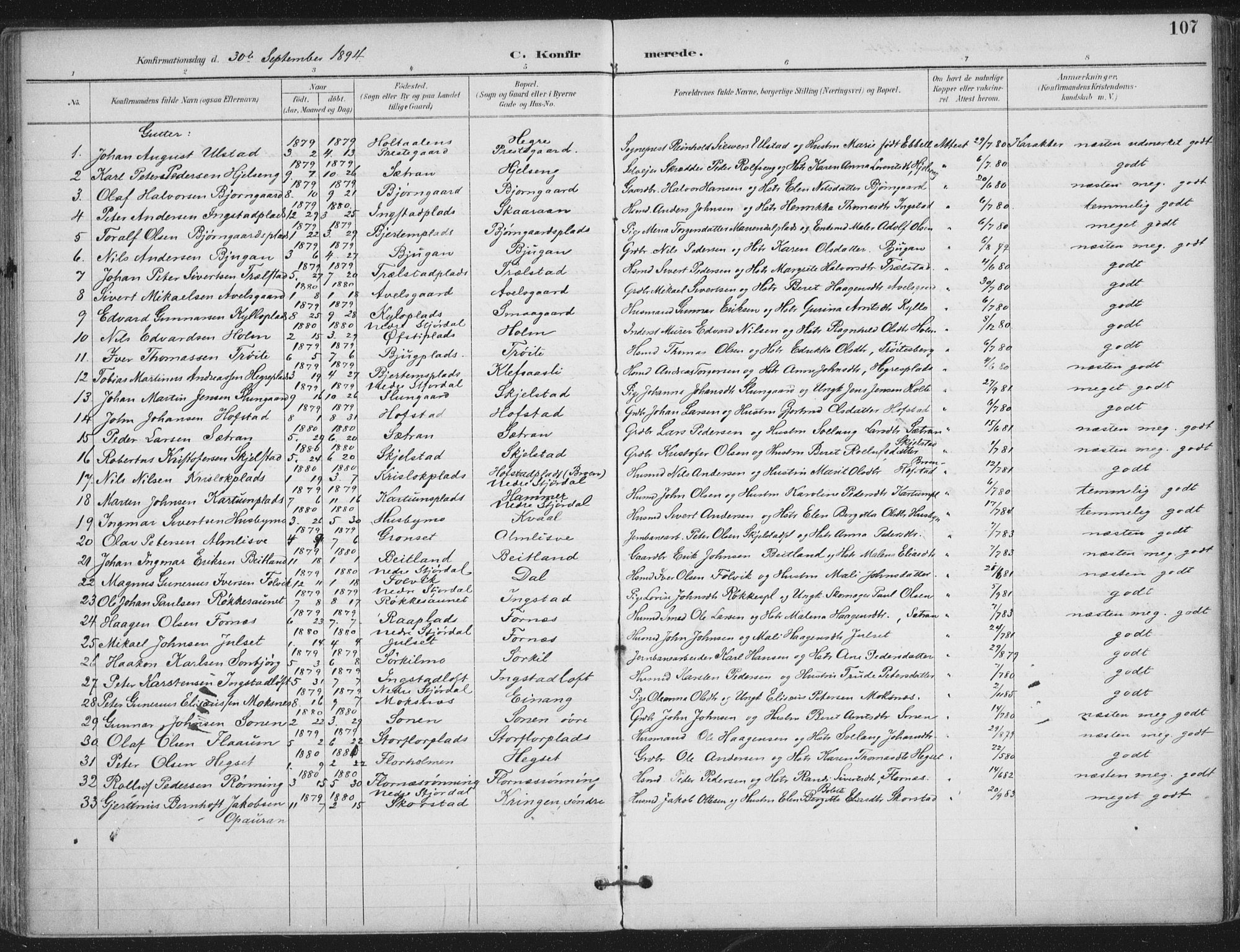 Ministerialprotokoller, klokkerbøker og fødselsregistre - Nord-Trøndelag, SAT/A-1458/703/L0031: Parish register (official) no. 703A04, 1893-1914, p. 107