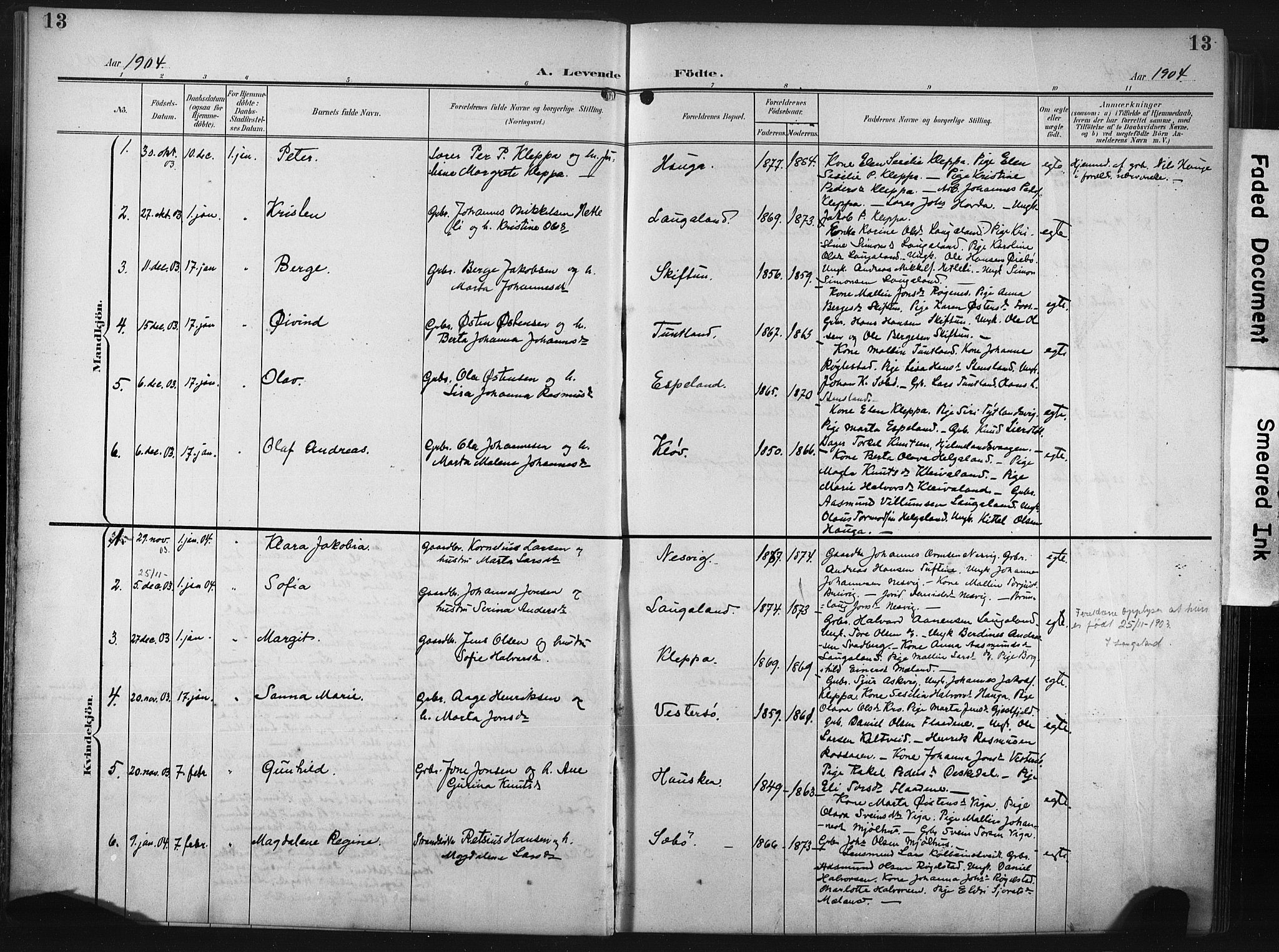 Hjelmeland sokneprestkontor, SAST/A-101843/02/A/L0002: Parish register (official) no. A 17, 1901-1916, p. 13