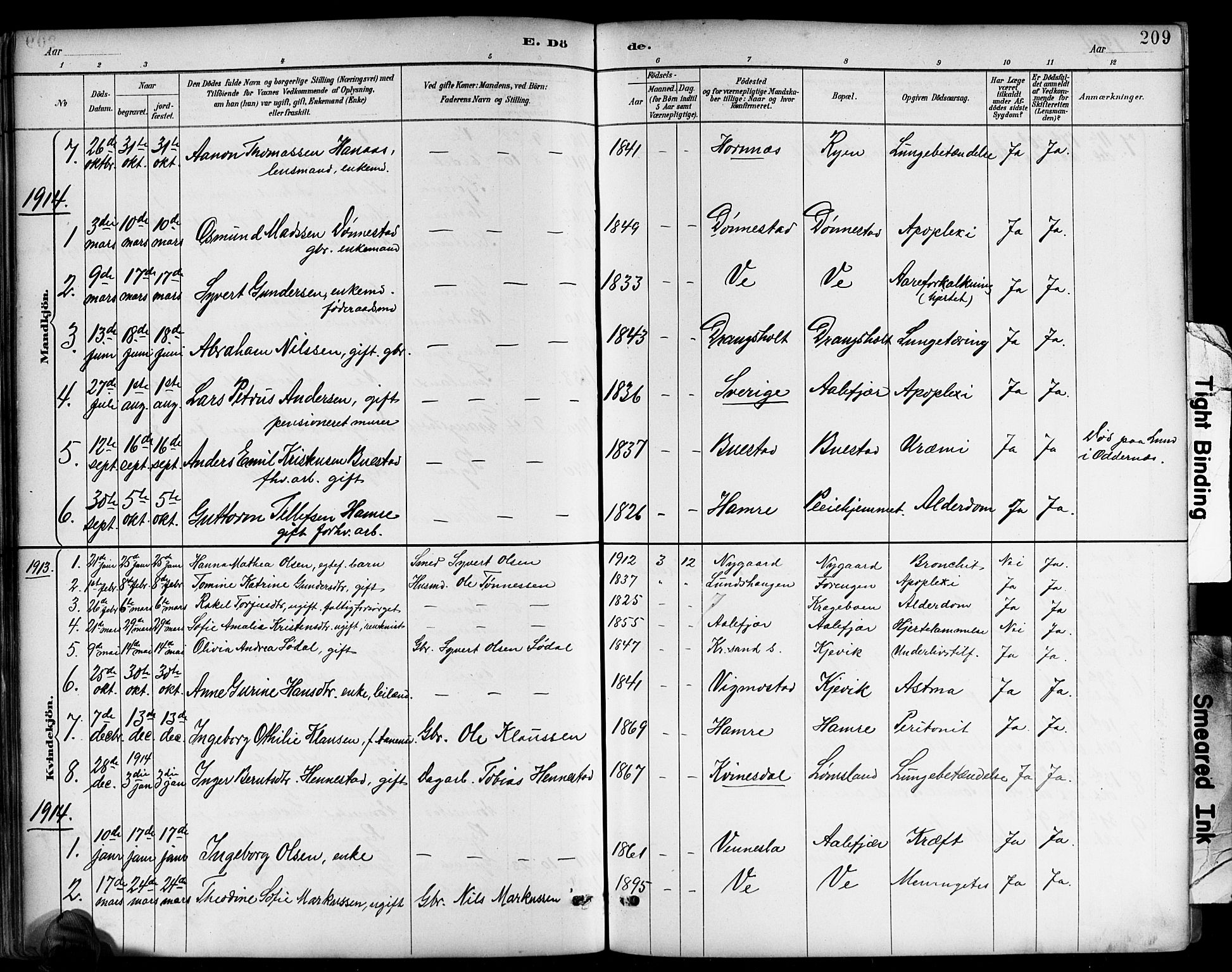 Tveit sokneprestkontor, AV/SAK-1111-0043/F/Fb/L0004: Parish register (copy) no. B 4, 1887-1914, p. 209