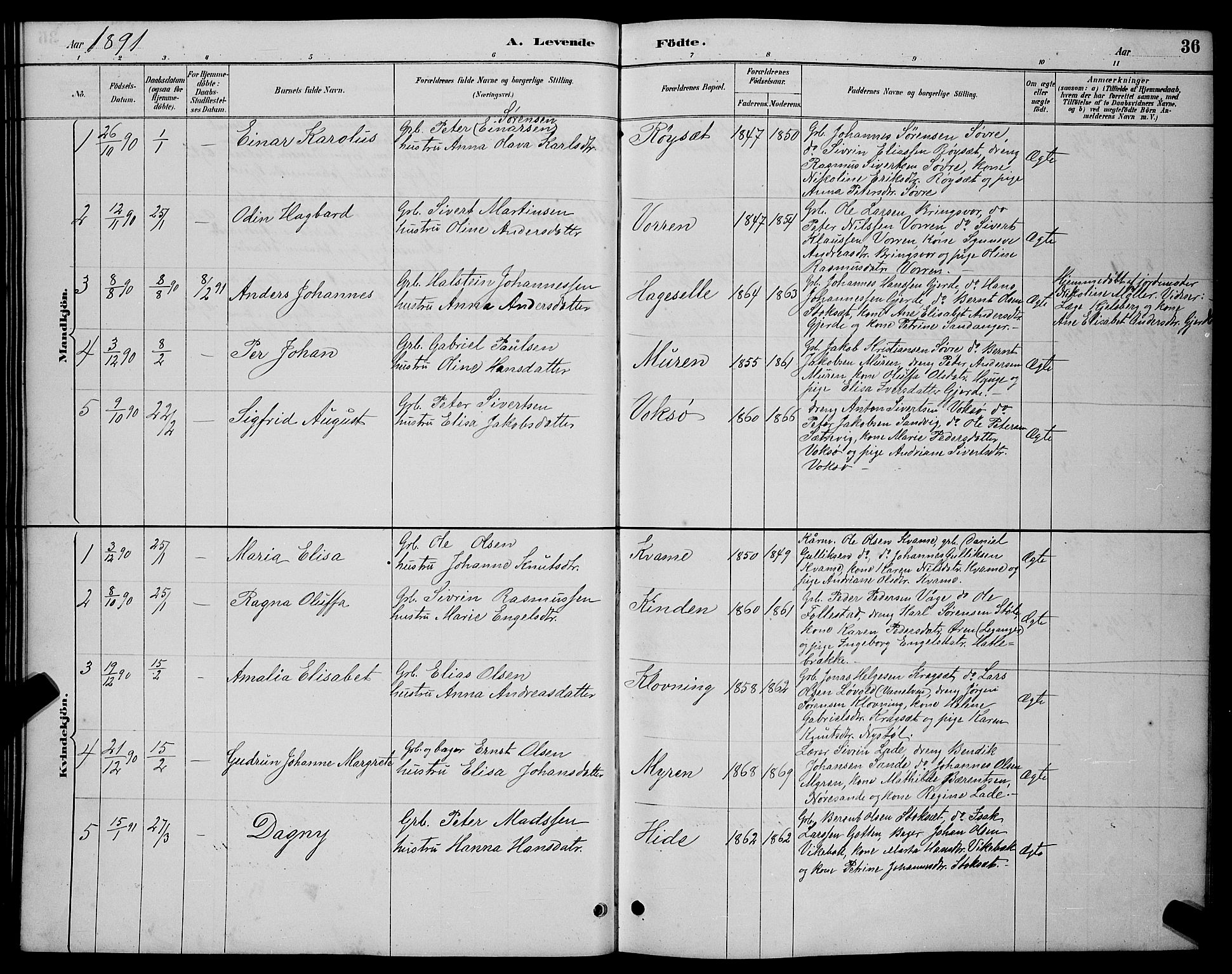 Ministerialprotokoller, klokkerbøker og fødselsregistre - Møre og Romsdal, AV/SAT-A-1454/503/L0048: Parish register (copy) no. 503C03, 1885-1893, p. 36