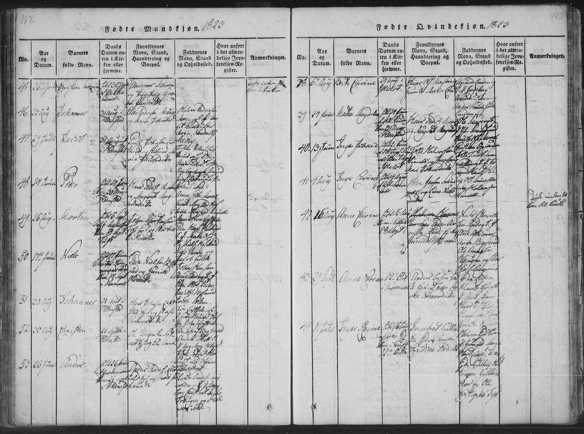 Sandsvær kirkebøker, AV/SAKO-A-244/F/Fa/L0004: Parish register (official) no. I 4, 1817-1839, p. 112-113