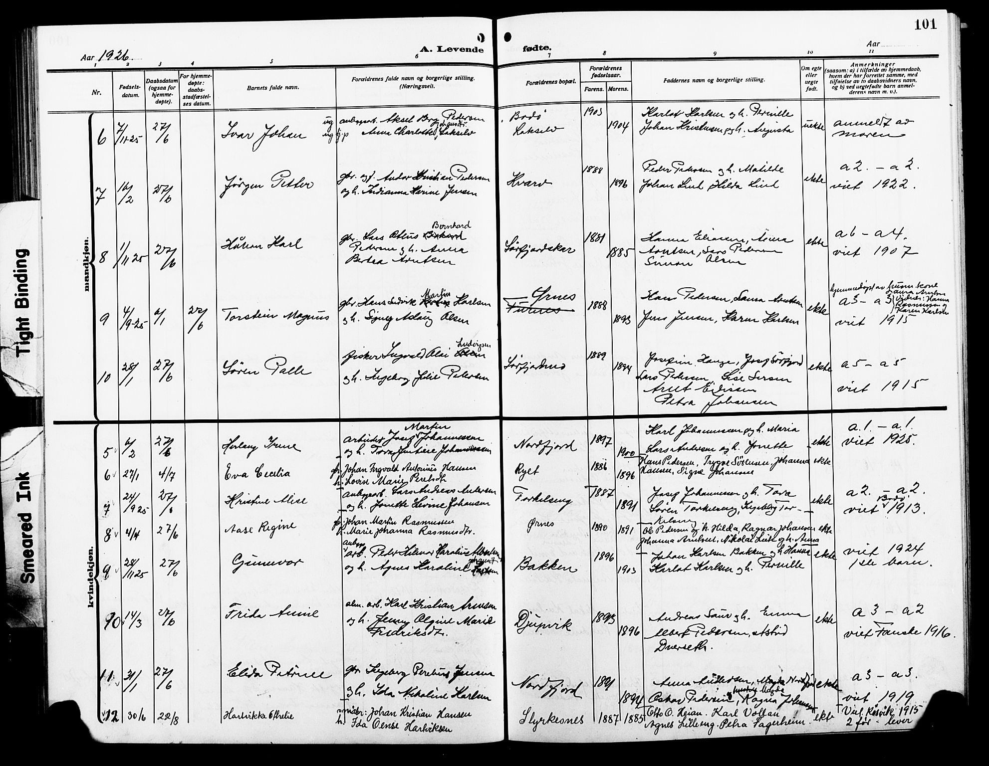 Ministerialprotokoller, klokkerbøker og fødselsregistre - Nordland, AV/SAT-A-1459/854/L0787: Parish register (copy) no. 854C03, 1913-1926, p. 101