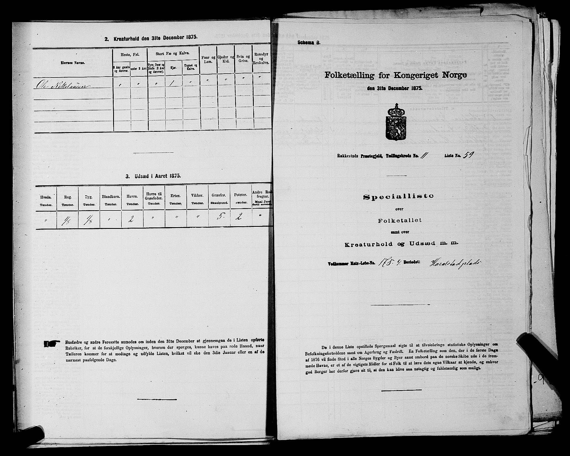 RA, 1875 census for 0128P Rakkestad, 1875, p. 1410