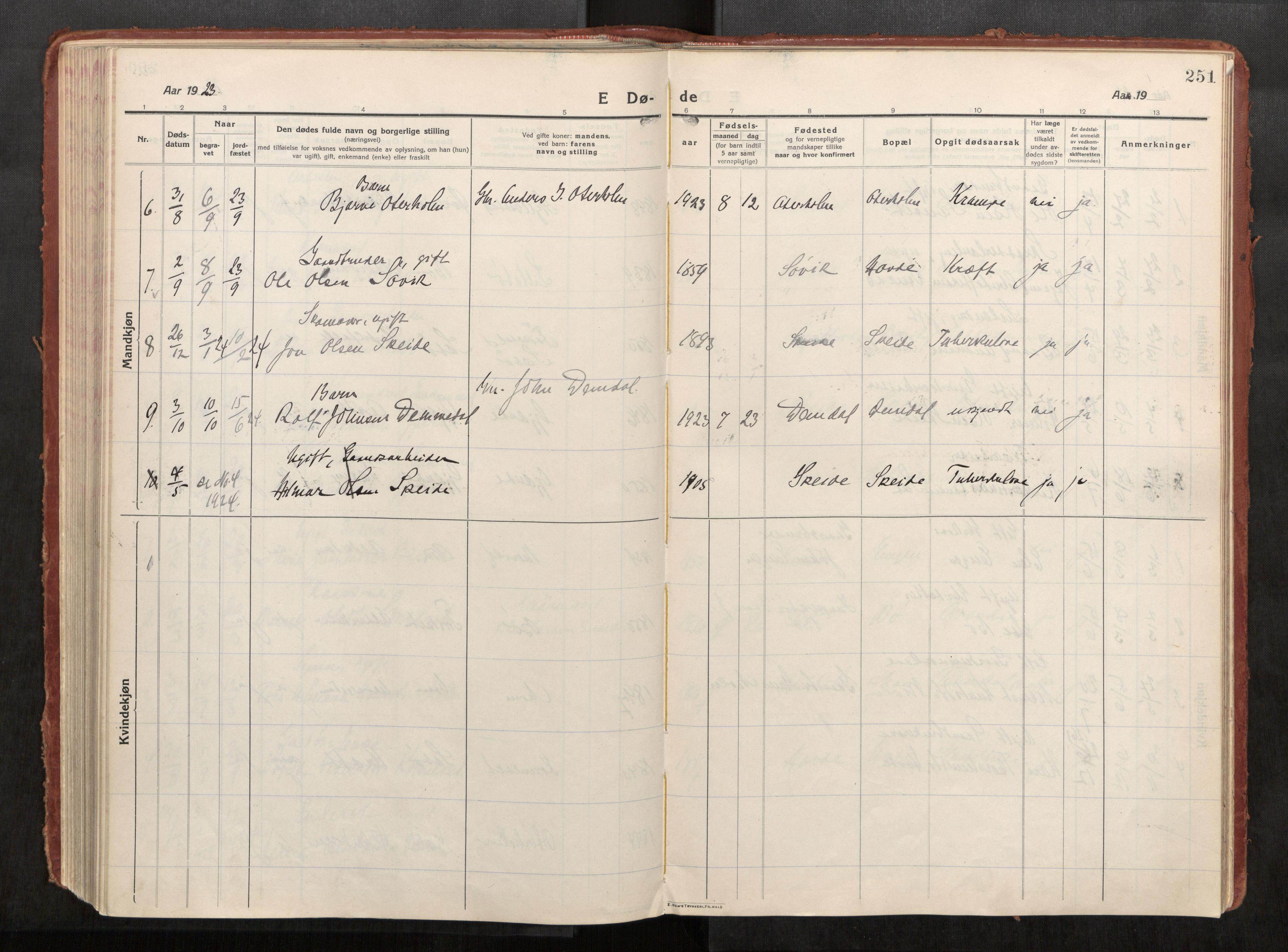 Eid sokneprestkontor, AV/SAT-A-1254: Parish register (official) no. 543A04, 1916-1956, p. 251