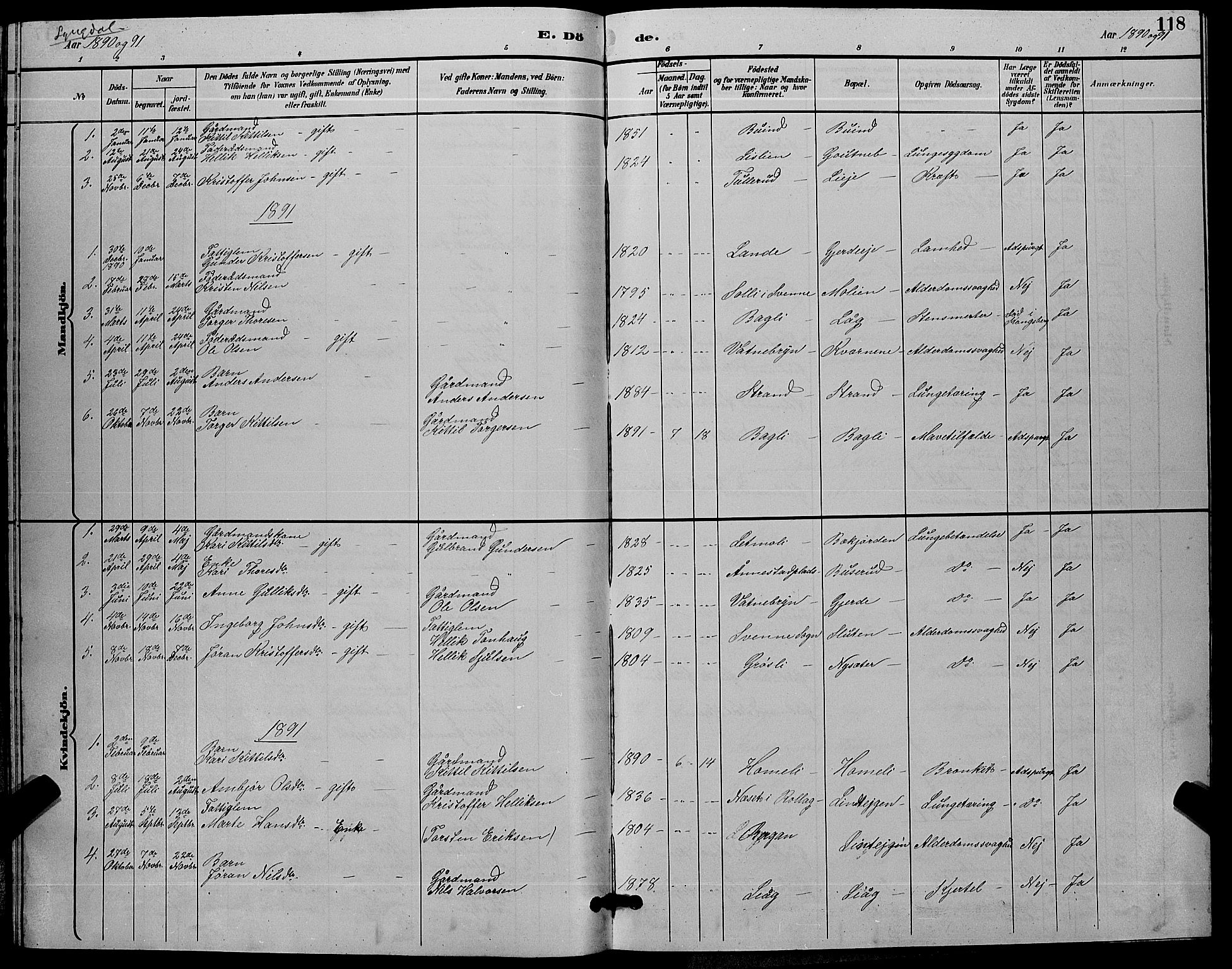Flesberg kirkebøker, SAKO/A-18/G/Ga/L0004: Parish register (copy) no. I 4 /3, 1890-1898, p. 118