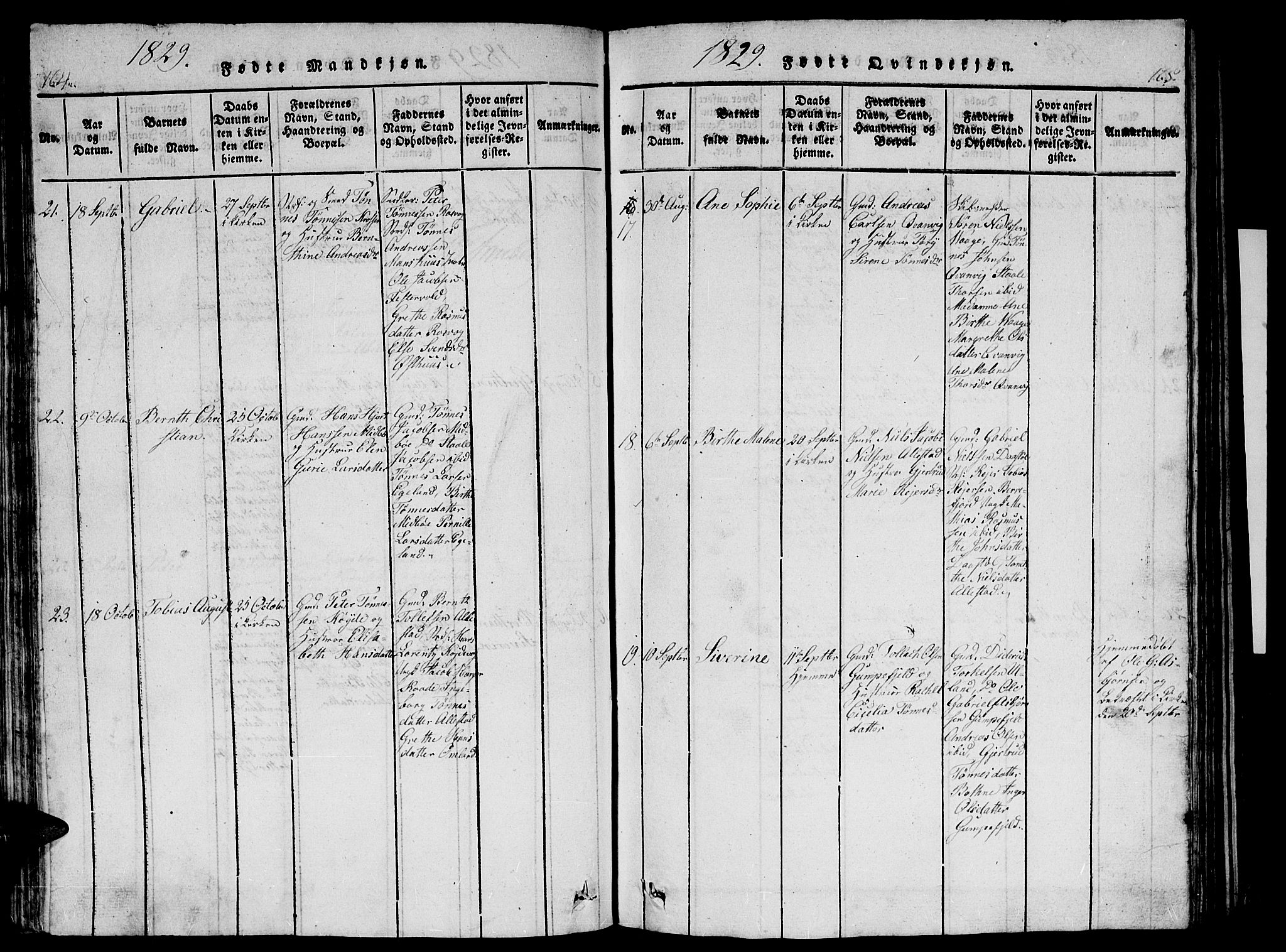 Flekkefjord sokneprestkontor, AV/SAK-1111-0012/F/Fb/Fbb/L0001: Parish register (copy) no. B 1, 1815-1830, p. 164-165